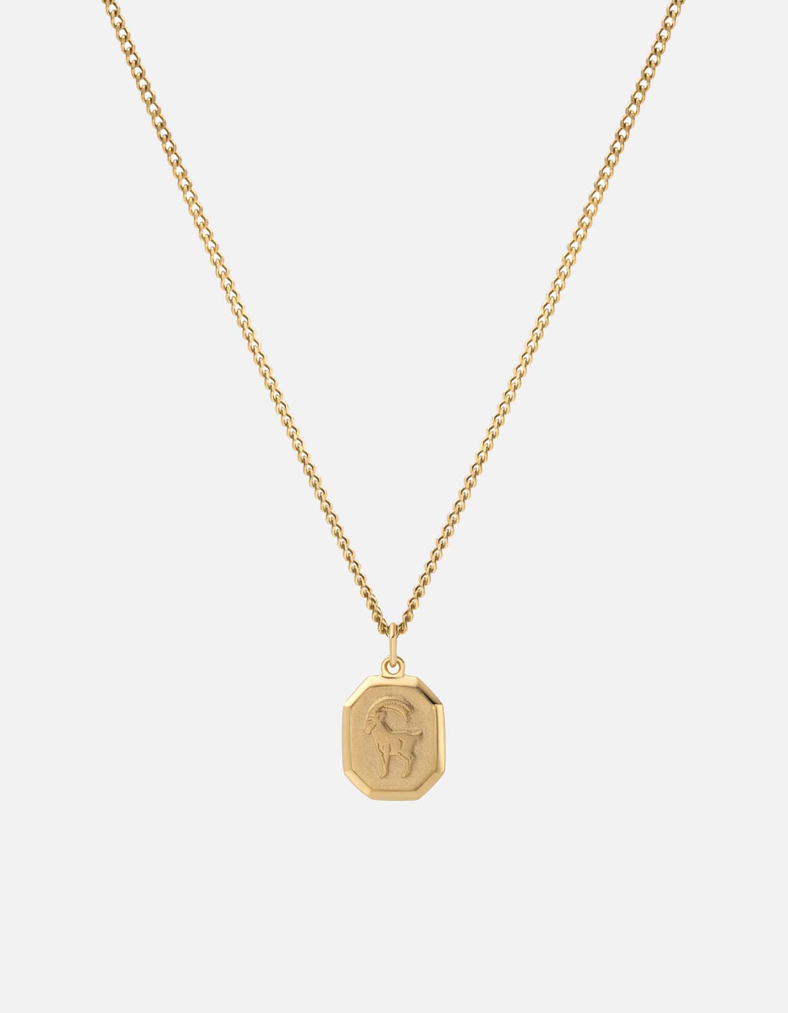Zodiac Nyle Necklace - 14K Gold Vermeil Pendant for Women - Perfect for Birthdays, Anniversaries & Everyday Elegance