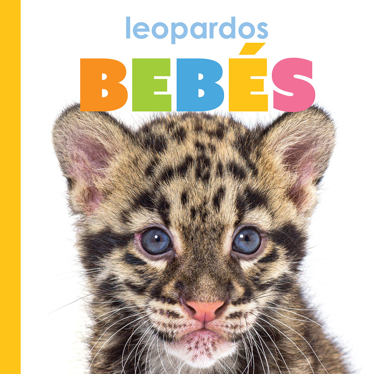 Leopard Print Baby Clothes - The Beginning of Style | Soft & Comfortable Outfits for Newborns & Infants | Perfect for Photo Shoots, Birthday Parties & Everyday Wear
