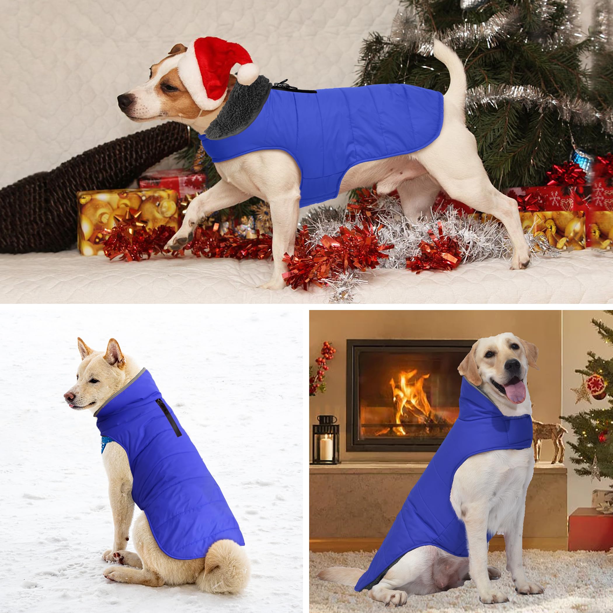 Waterproof & Windproof Dog Winter Coat with Reflective Strips & Leash Hole - Fleece-Lined Snow Jacket for Small, Medium & Large Dogs (Blue, Size L) - Perfect for Cold Weather Walks, Hiking & Outdoor Adventures