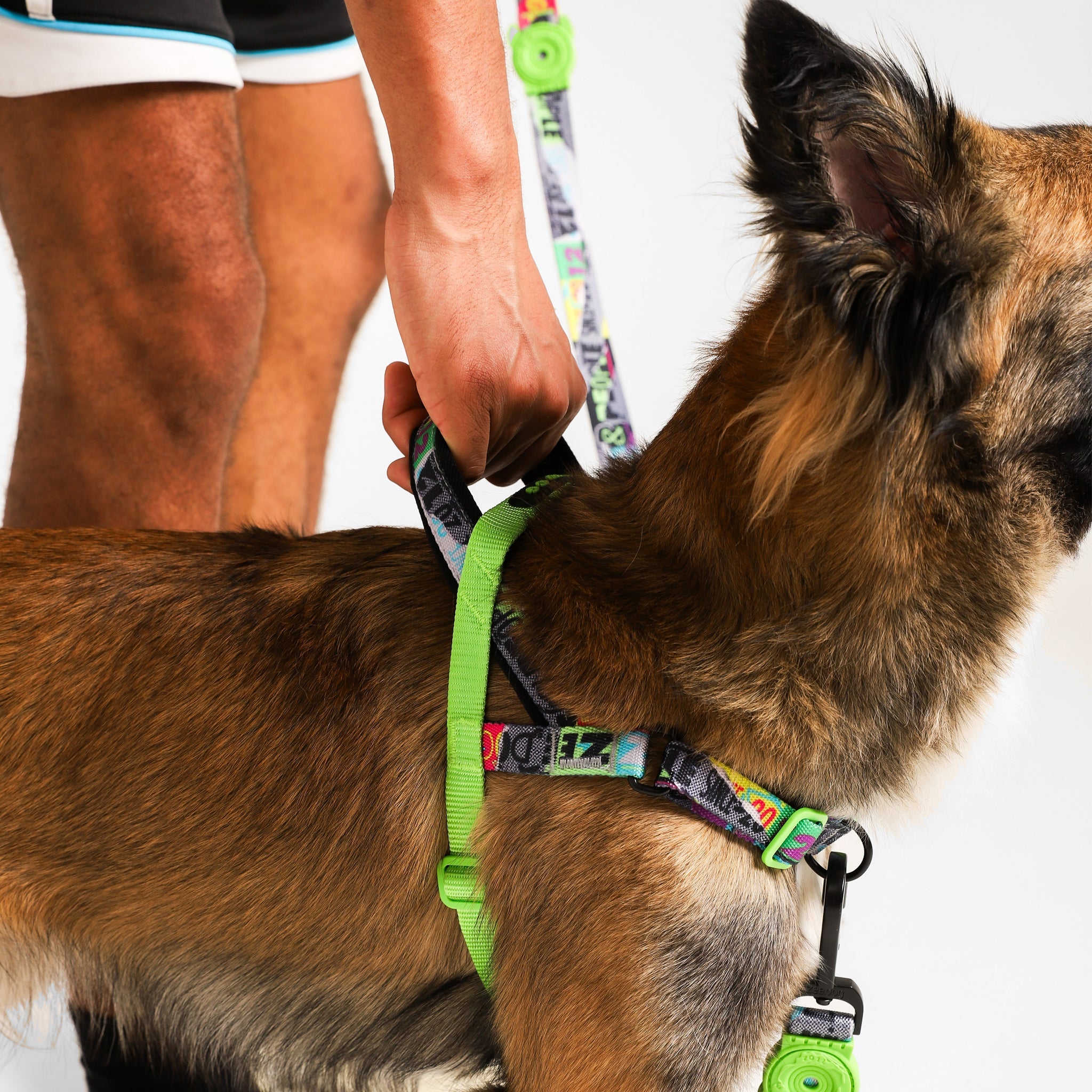 Zee.Dog LOZT Collection - No Pull Dog Harness for Small to Medium Dogs, Soft Padded Vest for Comfortable Walking, Training & Outdoor Adventures