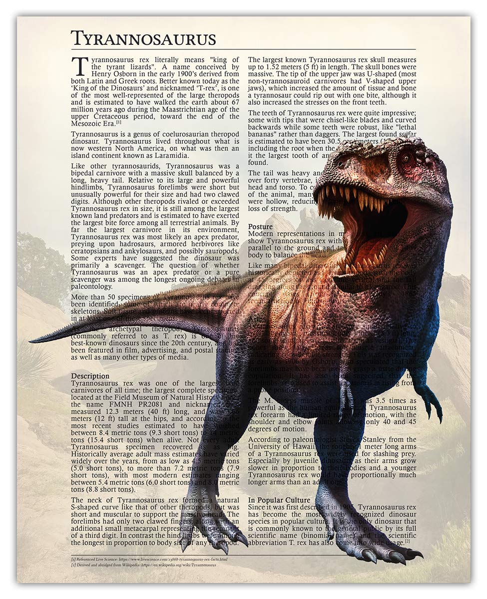 4-Piece Dinosaur Wall Art Set - TRex, Triceratops, Brontosaurus & Stegosaurus 11x14 Posters | Jurassic Themed Room Decor for Kids, Boys, Girls & Teens | Perfect for Bedroom, Playroom & Classroom Decorations