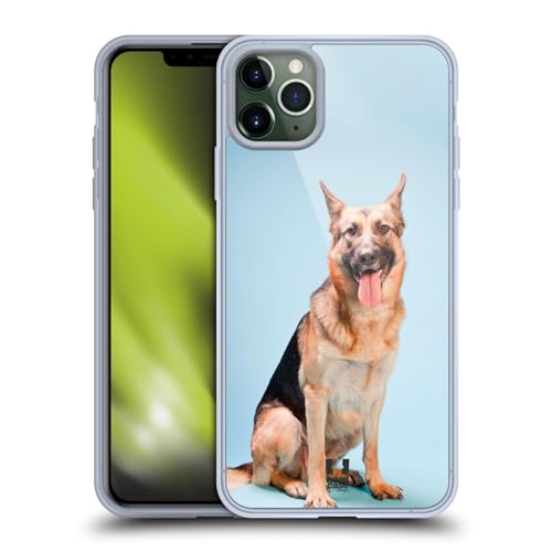 German Shepherd Dog