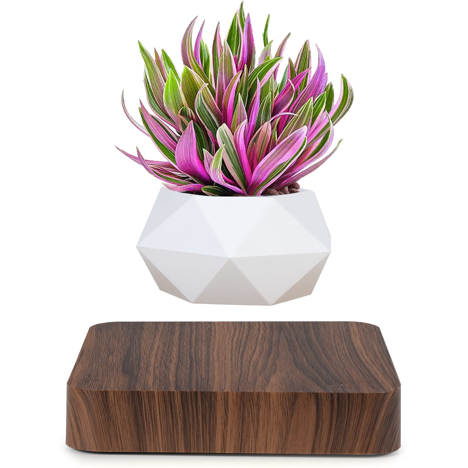 Levitating Air Bonsai Pot - Magnetic Floating Flower Planter with Rotation for Home & Office Desk Decor | Perfect for Indoor Plants, Zen Gardens, and Modern Home Decor (Dark Color)