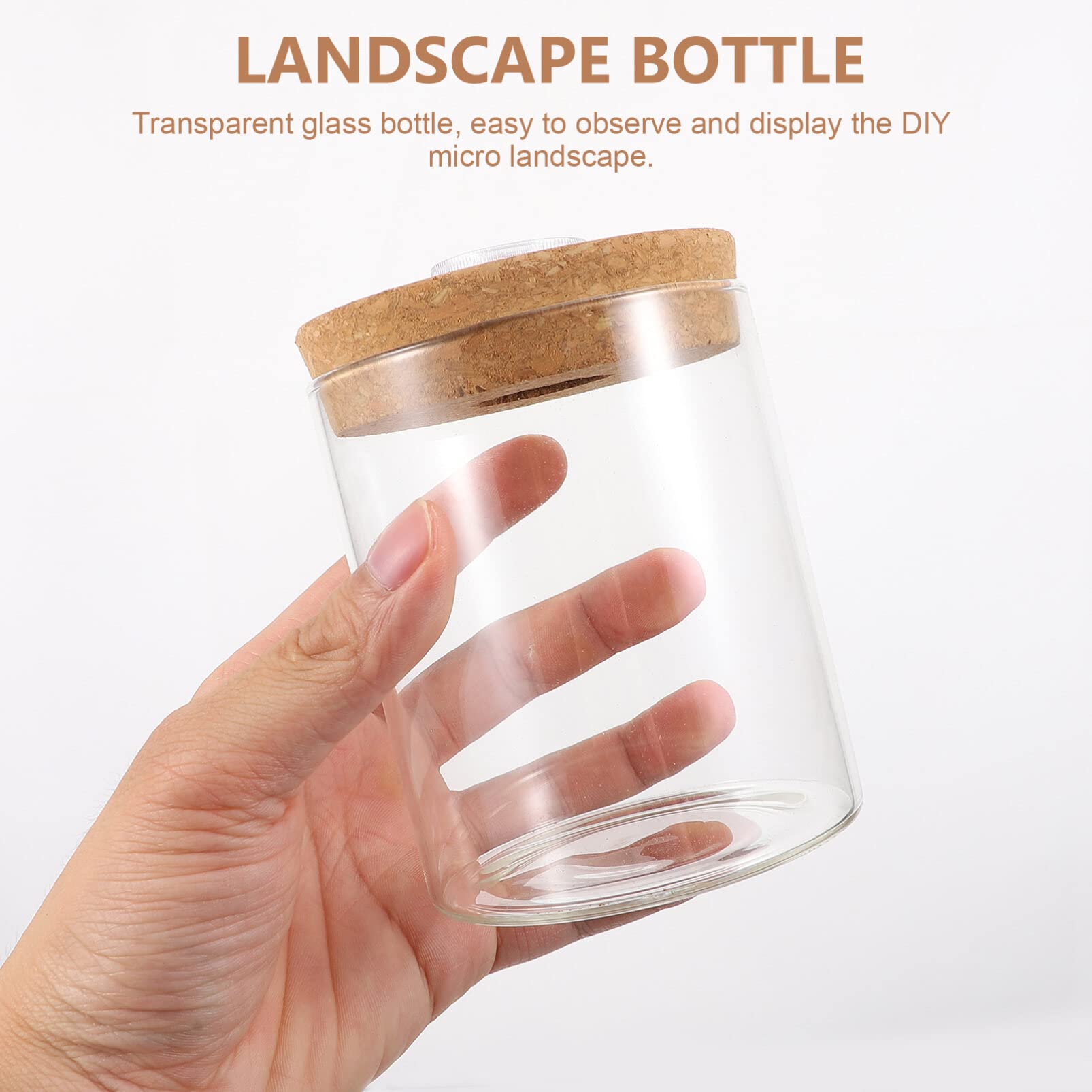 Mipcase LED Glass Terrarium Planter - Tabletop Glass Bottle Jar for Houseplants, Succulents & Air Plants - Perfect for Home, Office & Indoor Garden Decor