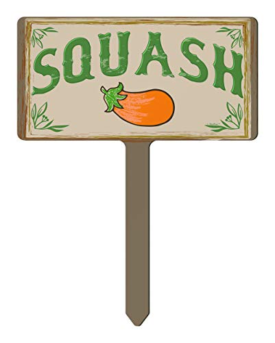 Squash