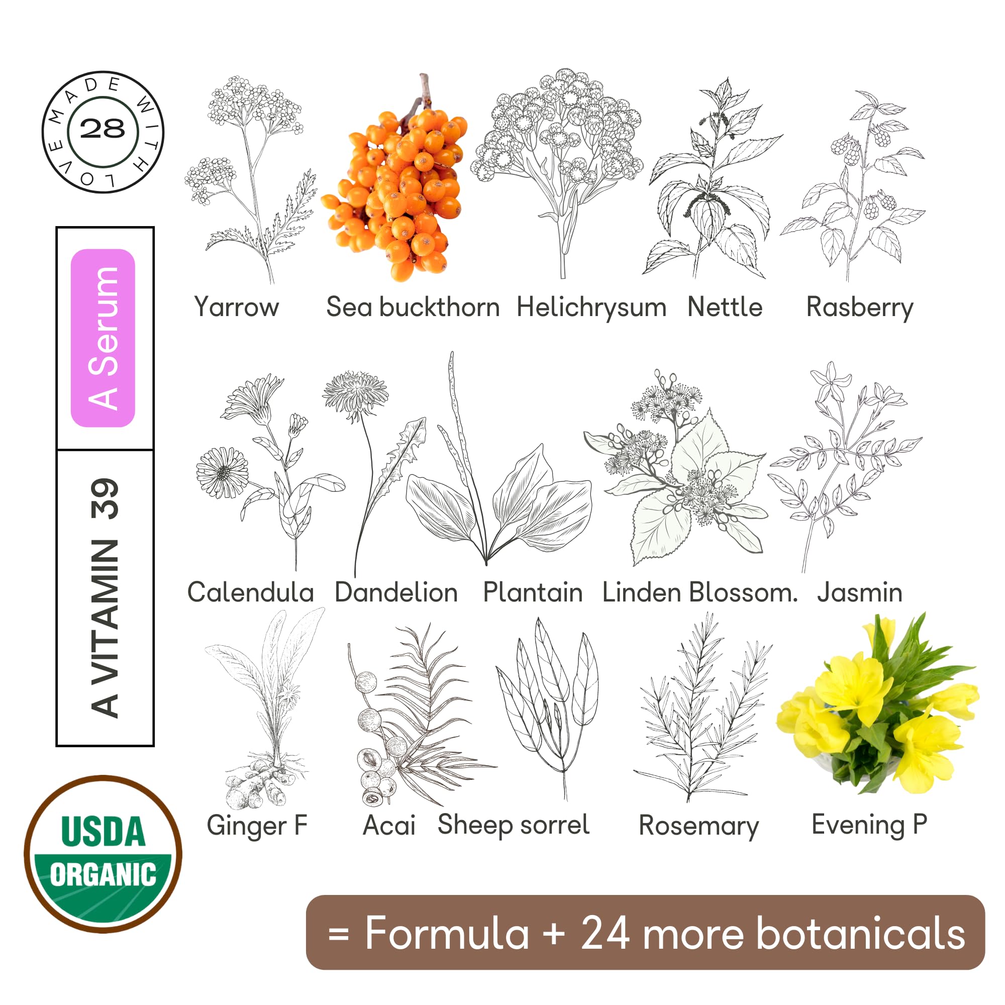 Organic28 100% Organic Plant Retinol Face Serum - Anti-Aging Facial Moisturizer with 39 Botanicals | Fast Absorbing, Vegan, Cruelty-Free | Day & Night Cream for Women | USA Made, 2 Fl Oz | Perfect for Dry Skin & Wrinkle Reduction
