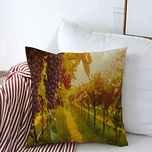 Premium 18x18 Inch Grape Harvest Farm & Wine Theme Linen Throw Pillow Covers - Sangiovese Chianti Vineyard Decor for Couch, Bedroom, Car (Perfect for Wine Lovers' Home & Office Decoration)