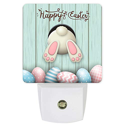 rabbit3555LFGE4525