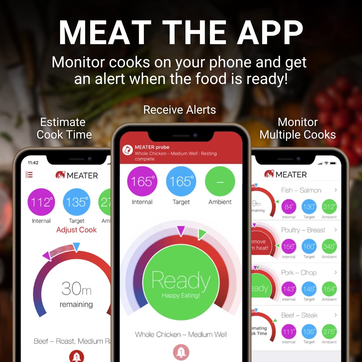 MEATER Block & BBQ Mitts Bundle - Premium WiFi Smart Meat Thermometer with Heat Resistant Gloves | Bluetooth to WiFi Range Extender | Perfect for Grilling, BBQ, Smoking, Rotisserie & Oven Cooking | Indoor & Outdoor Kitchen Use