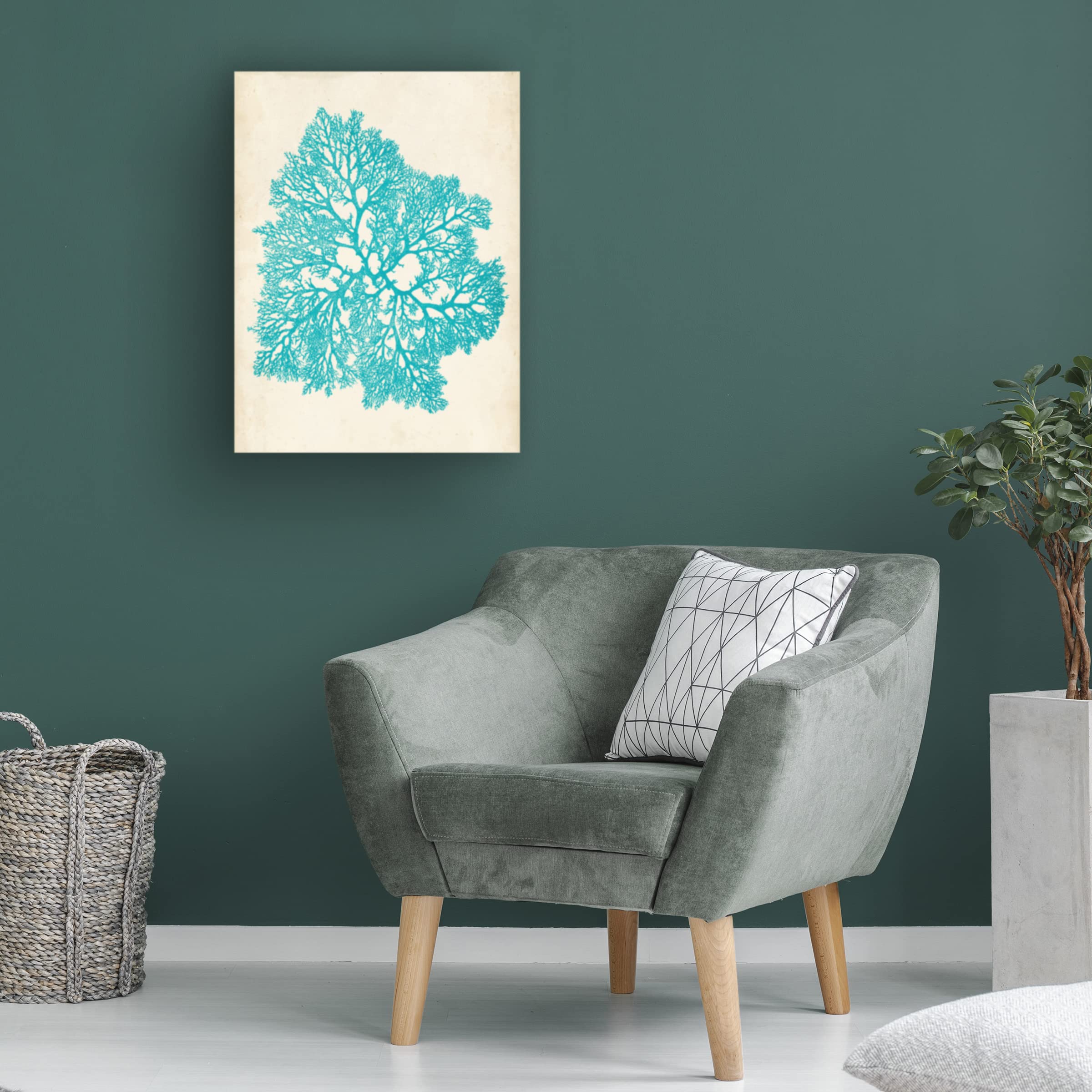Trademark Fine Art 'Aquamarine Seaweed V' Canvas Wall Art Print by Vision Studio - Modern Ocean Themed Home Decor for Living Room, Bedroom & Office