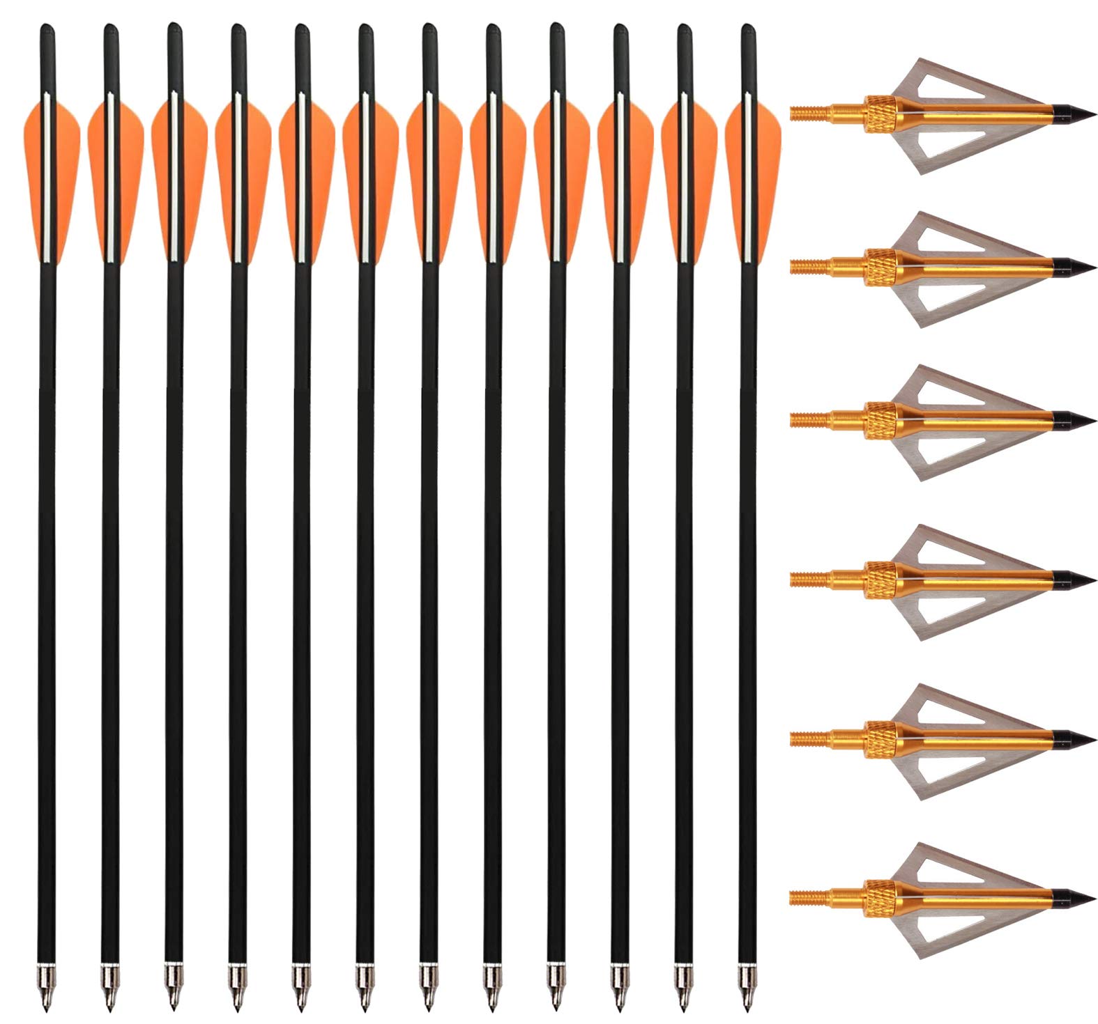 Carbon Crossbow Bolts 12 Pack with Broadheads - Hunting Arrows for Archery & Target Practice