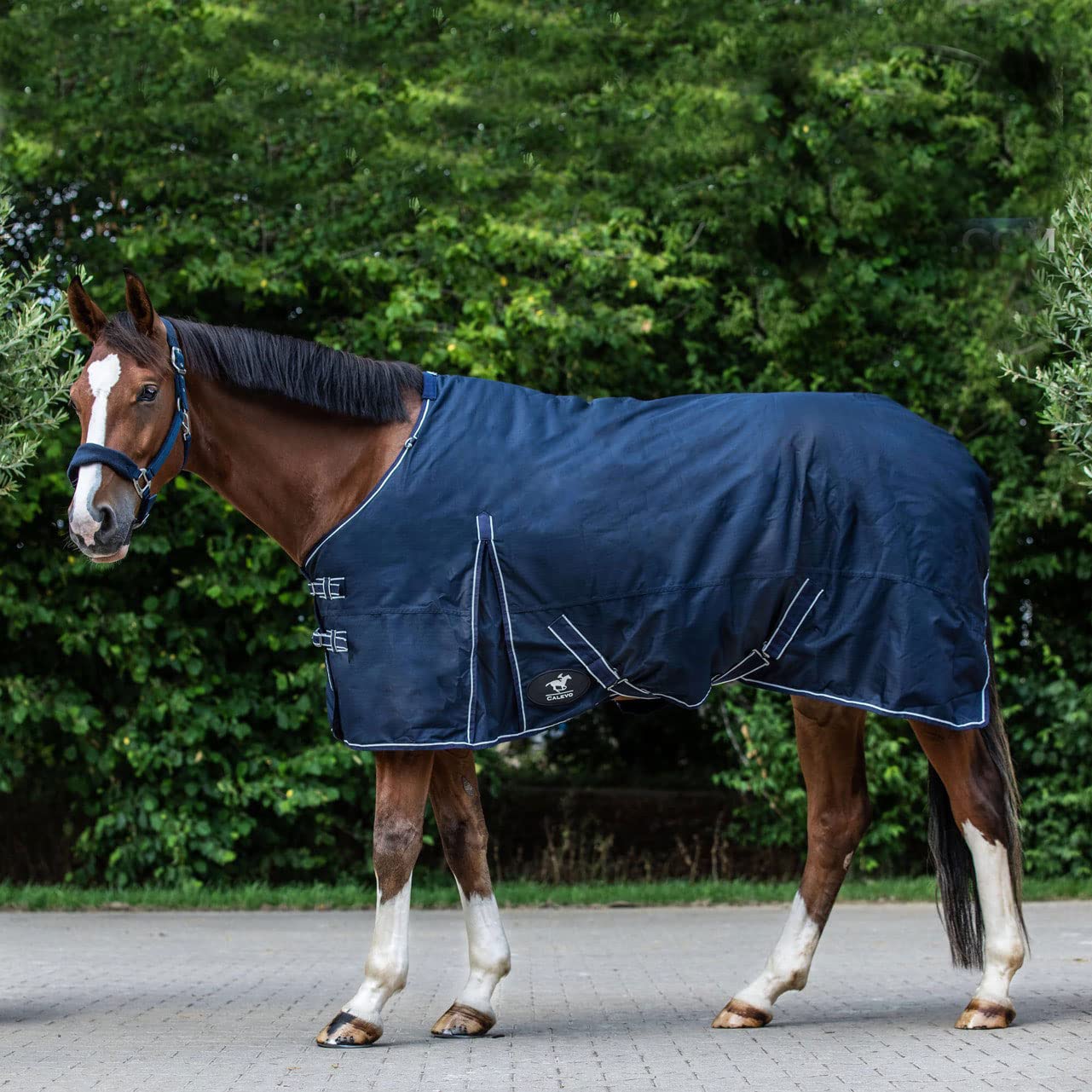 Waterproof Outdoor Rug - Durable & Affordable 200x300cm for Patio, Deck, Garden, and Poolside Use