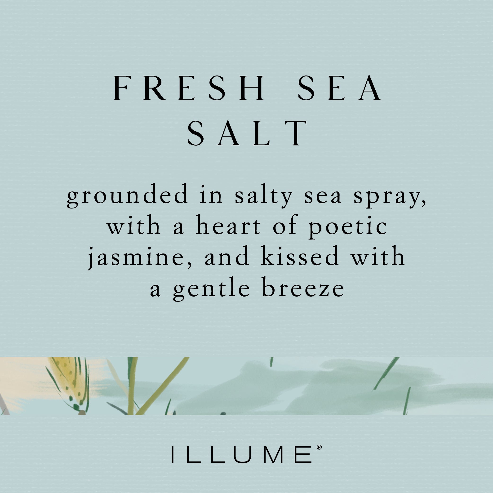 Premium Sea Salt Scented Soy Wax Candle in Decorative Tin - Aromatherapy for Relaxation, Home Decor & Gift for Spa, Bathroom, Bedroom