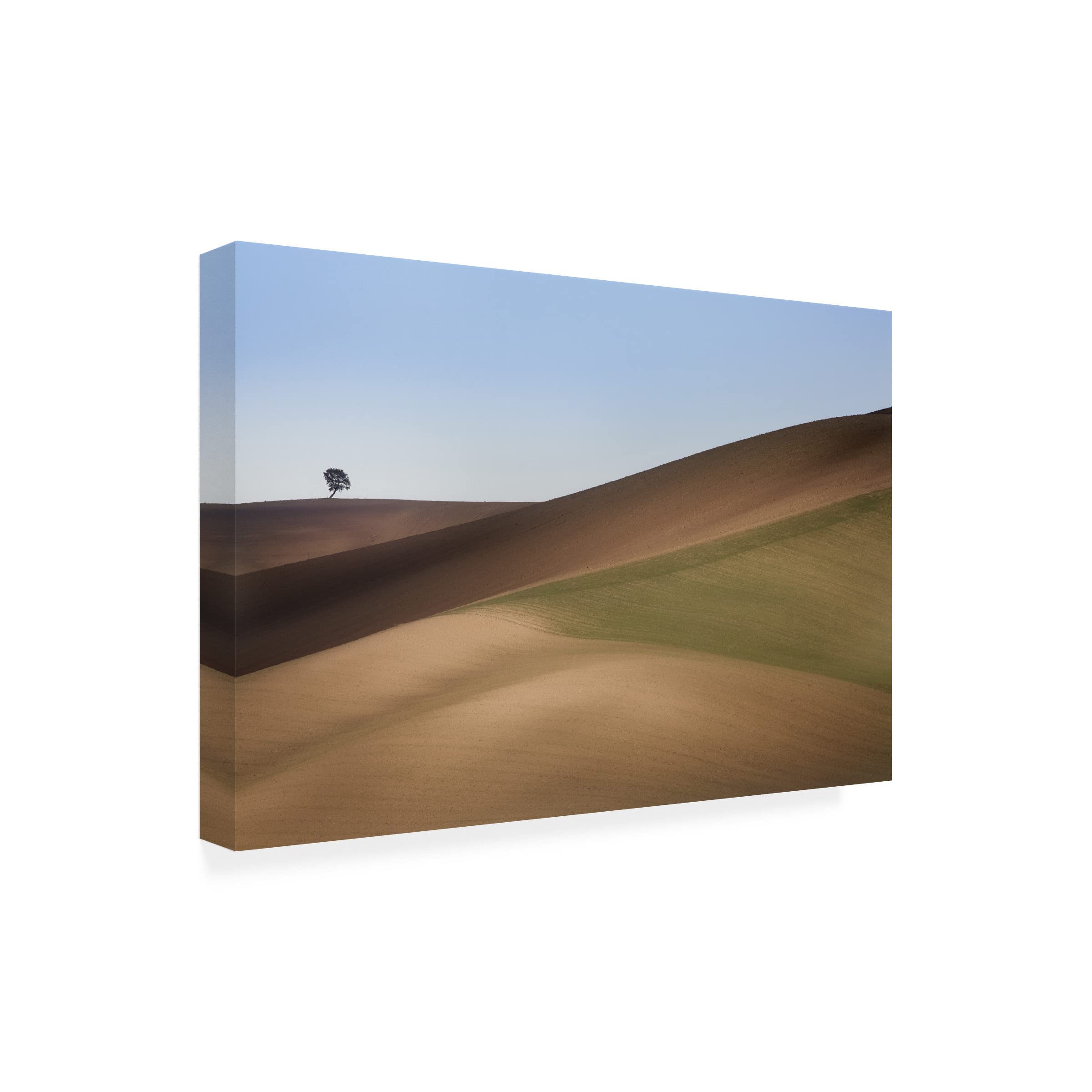 Trademark Fine Art 'St 009' Canvas Wall Art by Dorian Gray - Modern Abstract Painting for Living Room, Bedroom & Office Decor