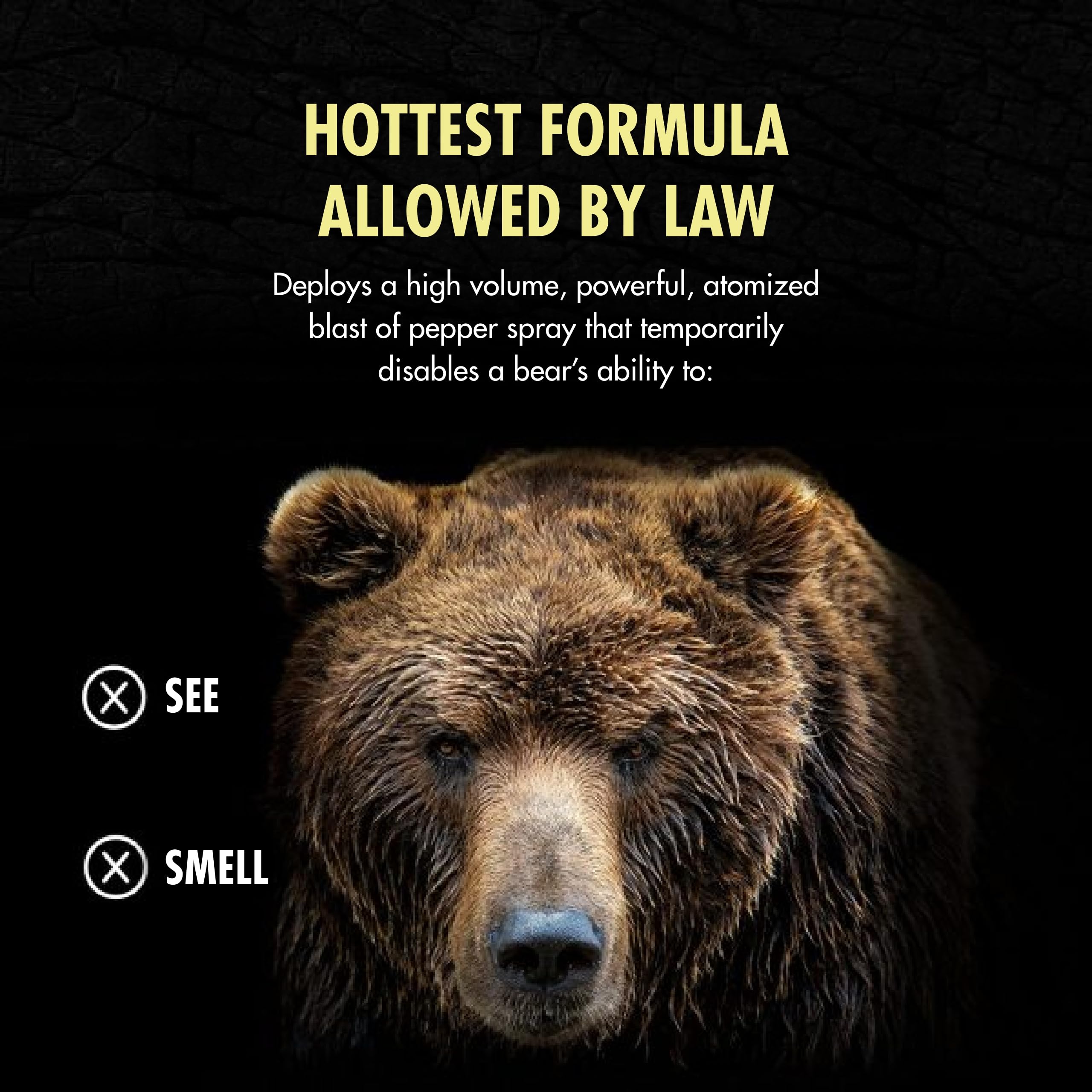 Counter Assault Bear Spray - 2% Capsaicin Bear Deterrent & Pepper Spray for Outdoor Protection - 8.1 oz for Hiking, Camping, Hunting & Wildlife Safety