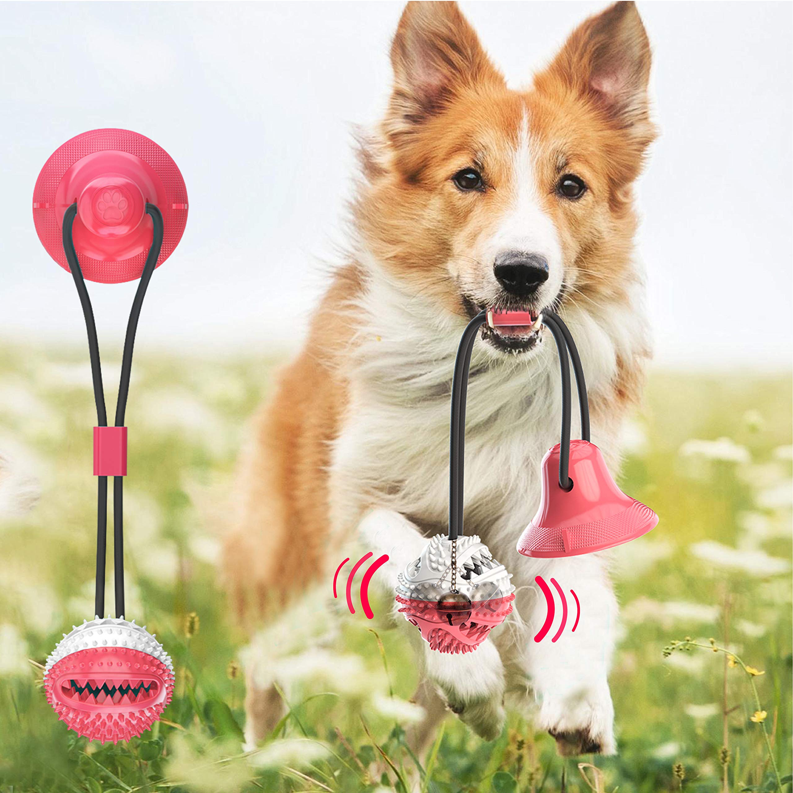 Dog Dental Care Toothbrush Chew Toy with Food Dispenser & Suction Cup - Teeth Cleaning Chew Toy for Puppies & Small Dogs - Interactive Pet Toy for Dental Health & Mental Stimulation at Home or Travel