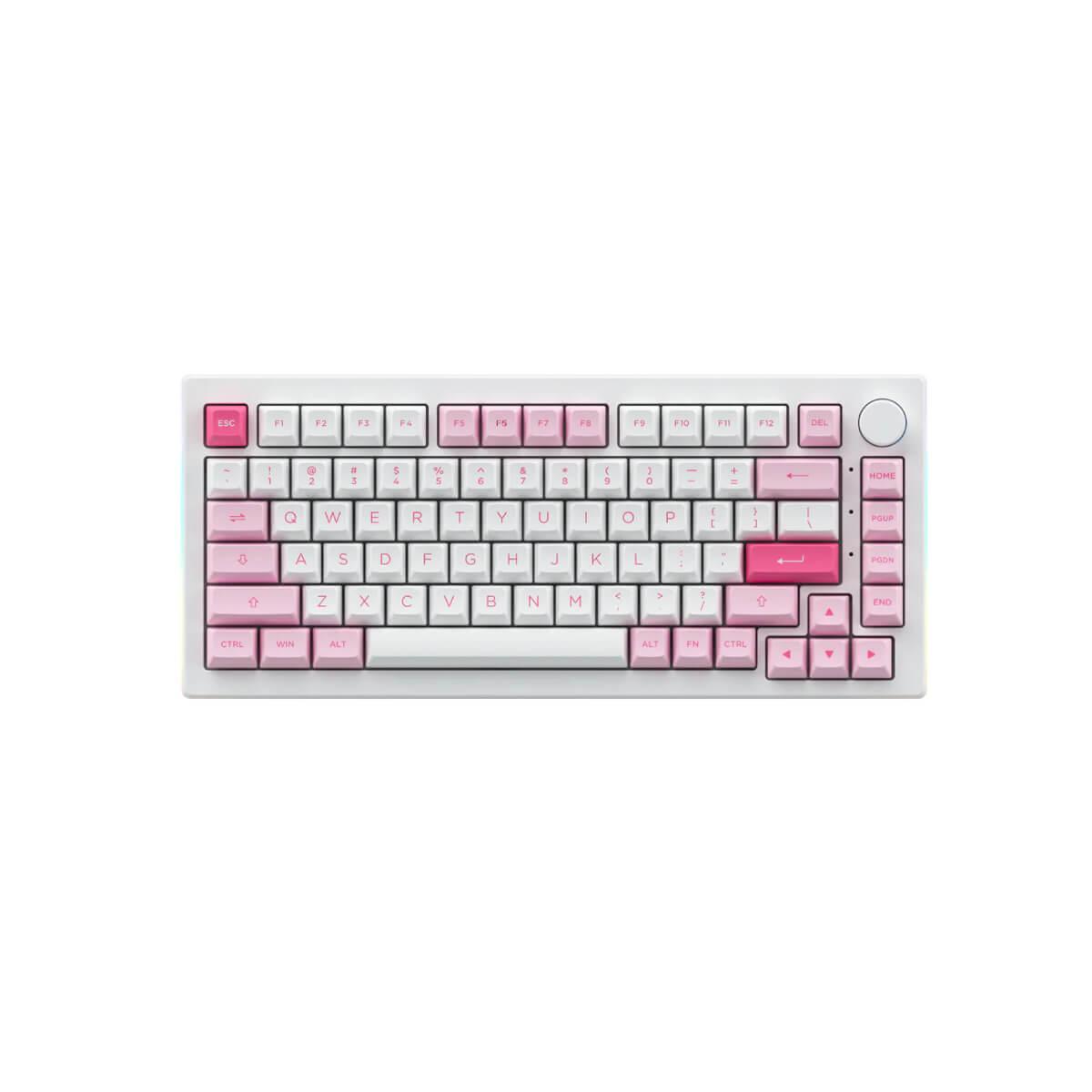 Akko 5075B Plus Prunus Lannesiana Wireless Mechanical Keyboard - Hot Swappable RGB Backlit, CS Silver Switches for Gaming & Office Use