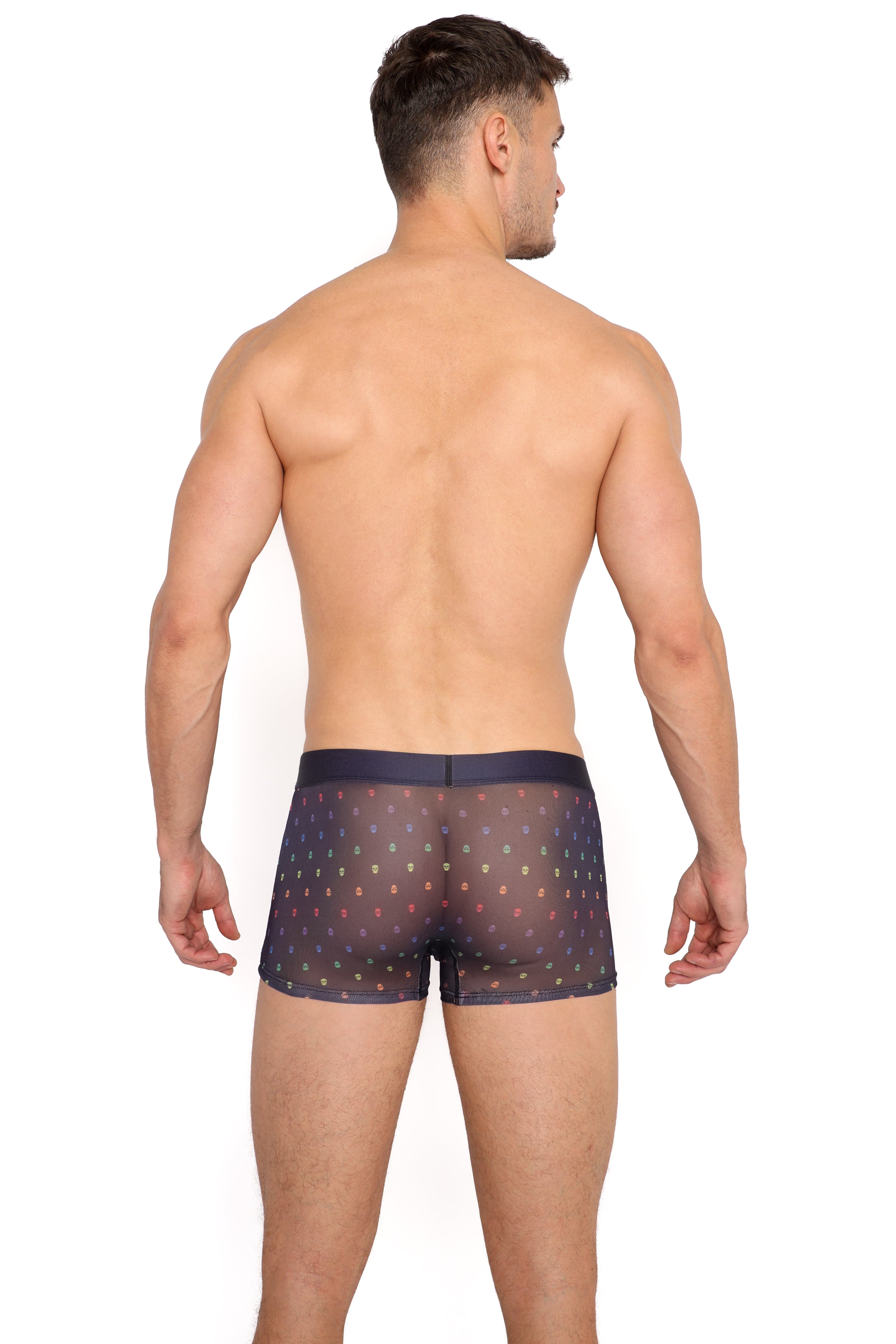 Pride Ditsy Skull Black Sheer Mesh Trunk - Gothic Lingerie Underwear for Women | Perfect for Halloween, Cosplay & Alternative Fashion