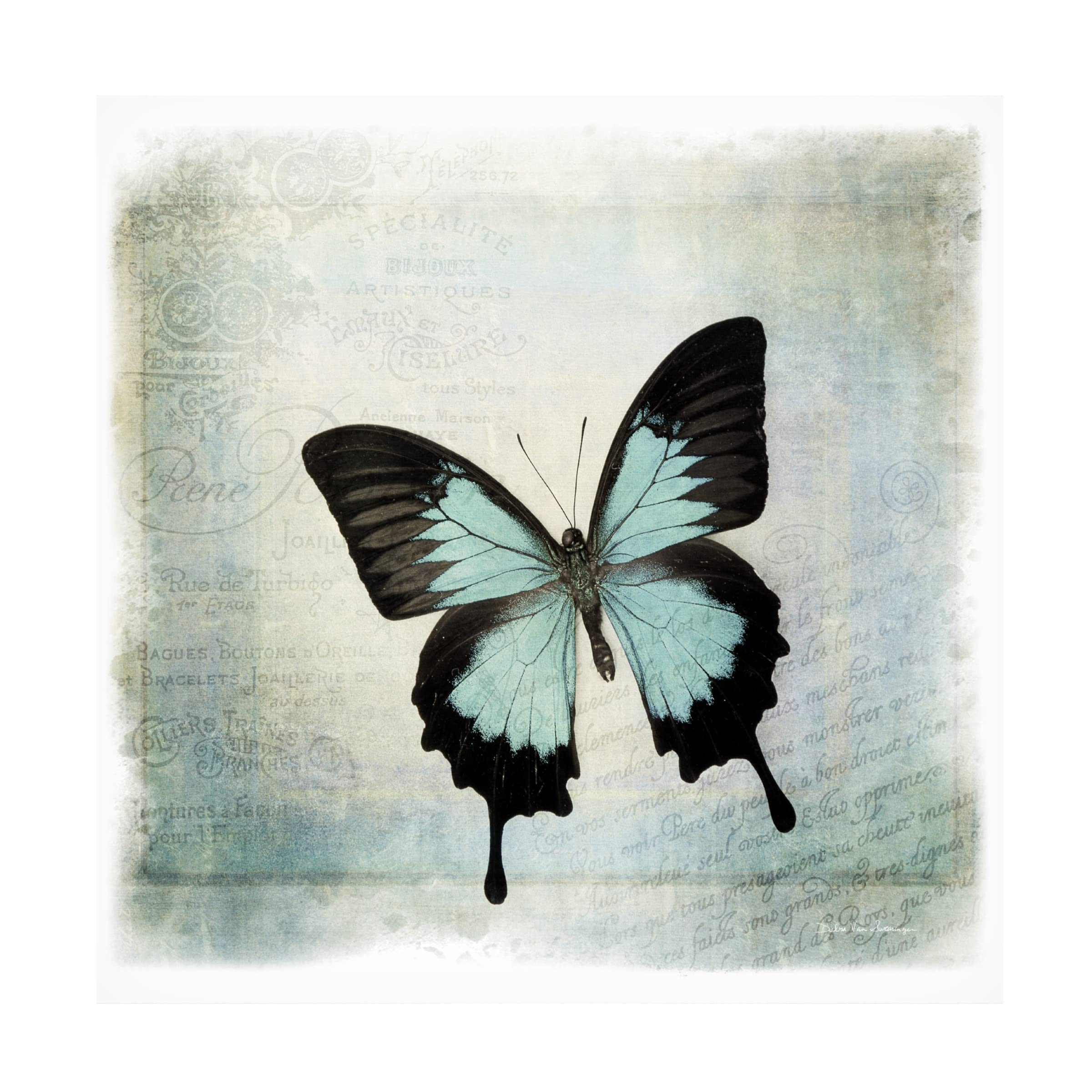 Trademark Fine Art 'At the Beach' Canvas Wall Art by Jim Dratfield - Coastal Decor for Living Room, Bedroom & Office