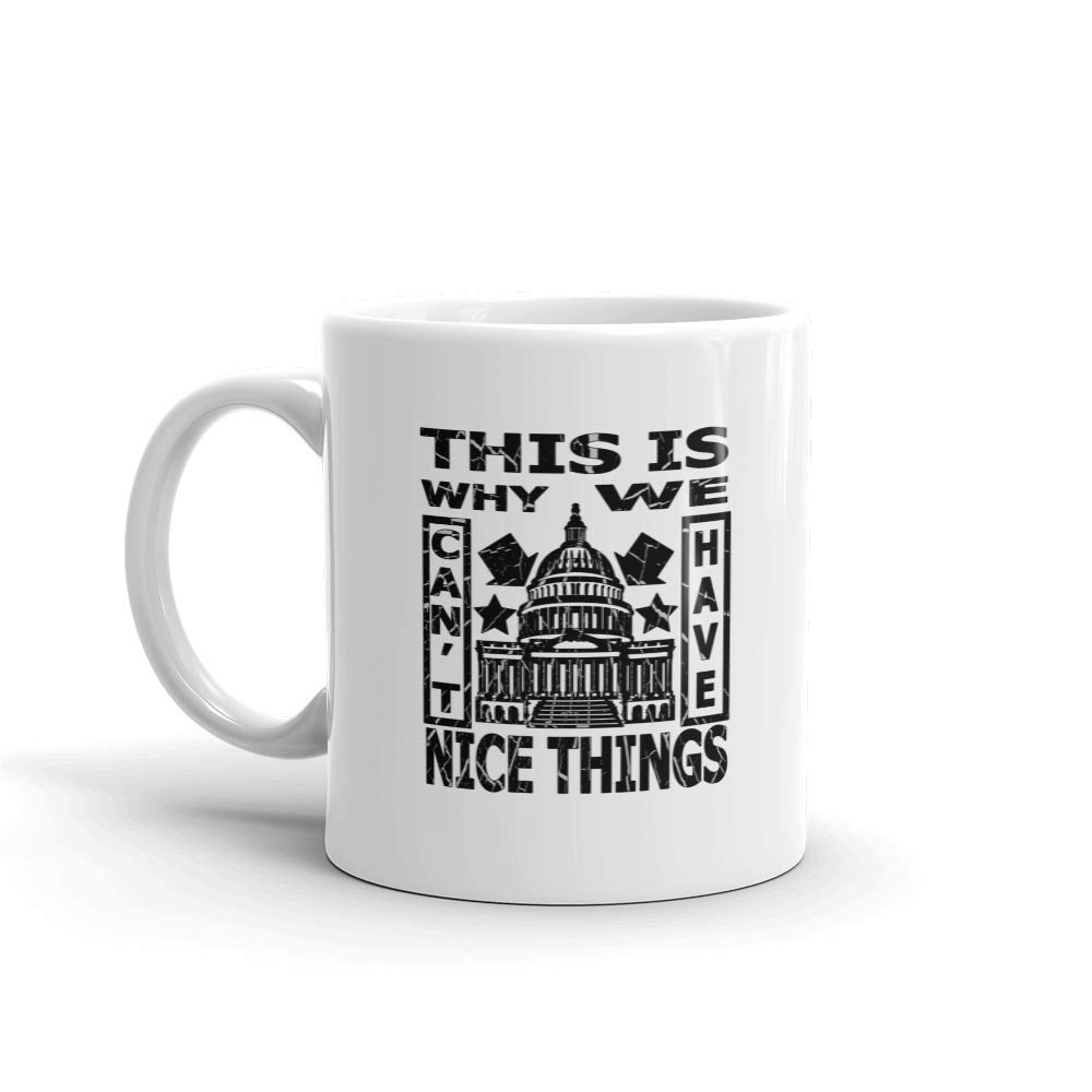 Funny Novelty Coffee Mug - 'This Is Why We Can't Have Nice Things' Government Humor 11oz Ceramic Cup for Tea & Coffee - Perfect for Office Gifts, Political Jokes & Sarcastic Humor Lovers