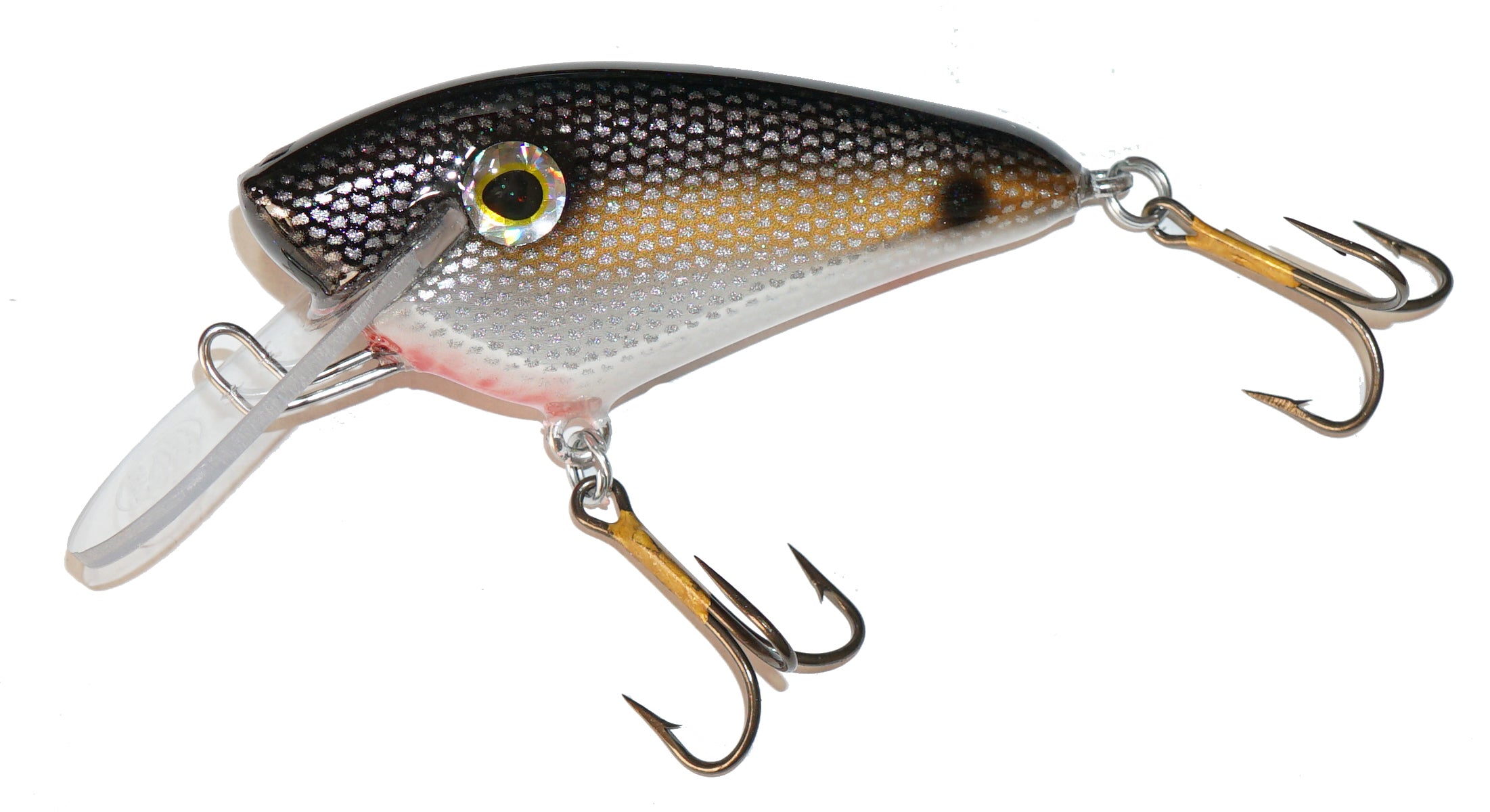 Baitfish