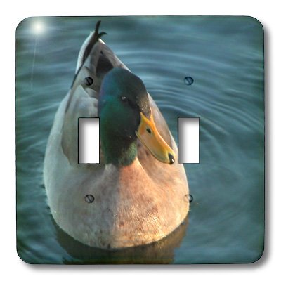 3D Rose Drake Mallard Duck Toggle Switch Cover - Decorative Light Switch Plate for Home, Office & Kids Room - Unique Duck-Themed Wall Decor Accessory