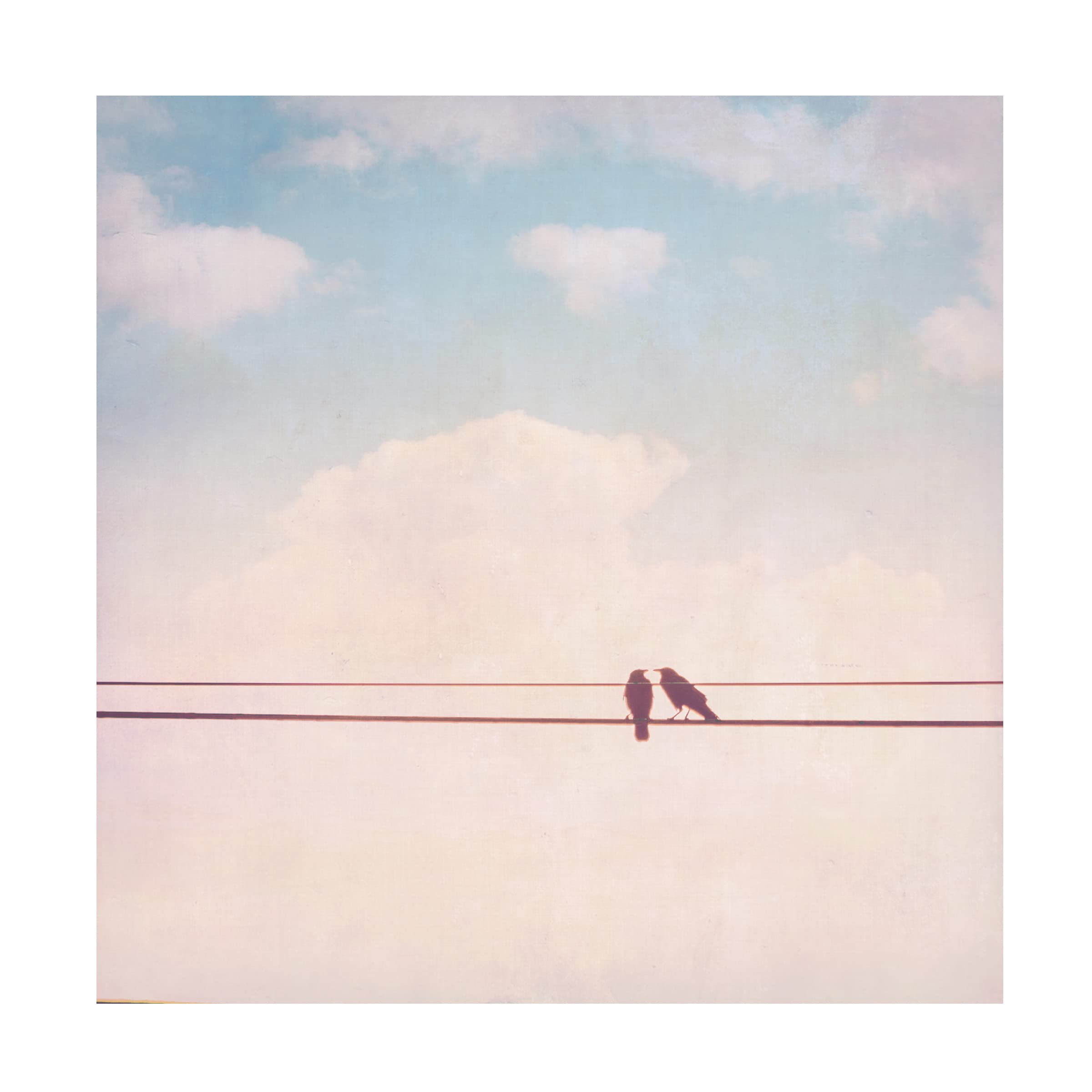 Trademark Fine Art 'Birds on Wires II' Canvas Wall Art by Thomas Brown - Stunning Home & Office Decor for Living Room, Bedroom or Gallery Display