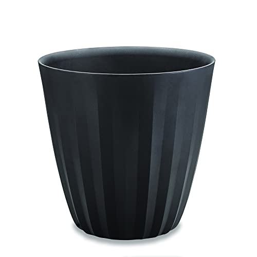 Caviar Black