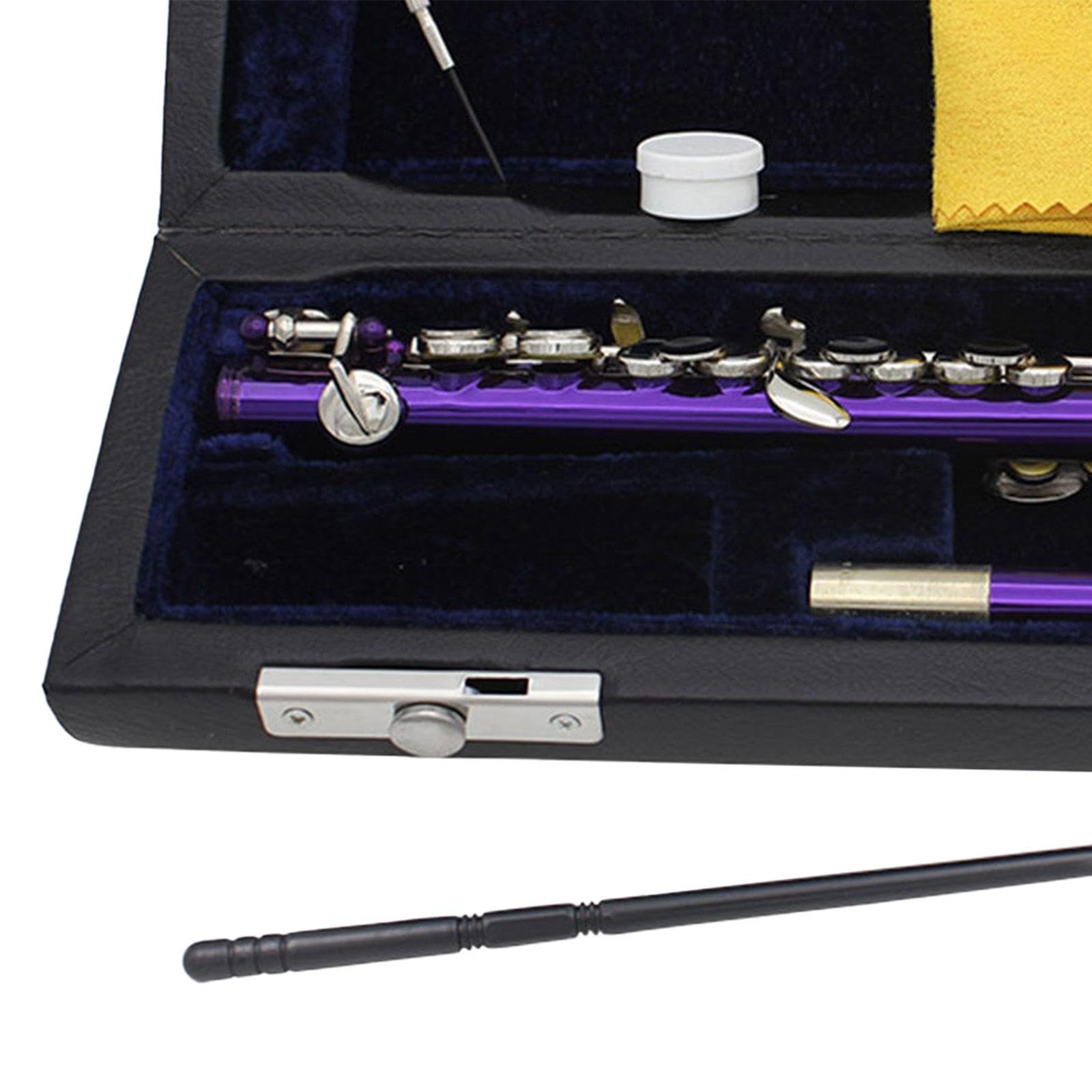 Premium Piccolo C Key Flute - 16 Hole Lightweight Portable Flute for Kids & Beginners | High Quality Sound, Musical Gift & Enlightenment | Perfect for School Bands, Concerts & Music Practice (Purple)