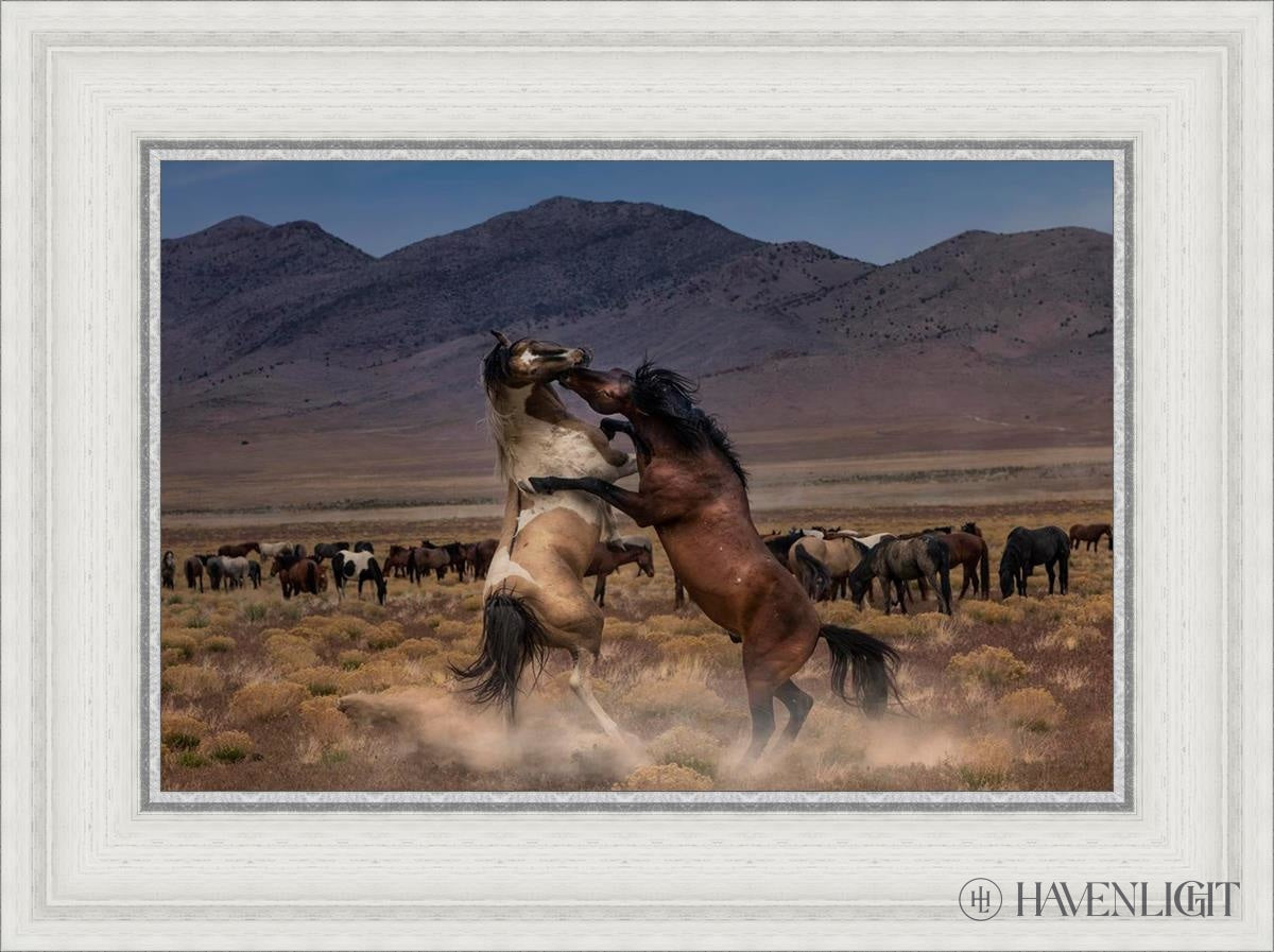Desert Duel by Greg Sargent - Western Novel, Adventure & Action Book - Perfect for Fans of Cowboy Stories and Wild West Tales | Great for Reading on Road Trips, Camping & Relaxation