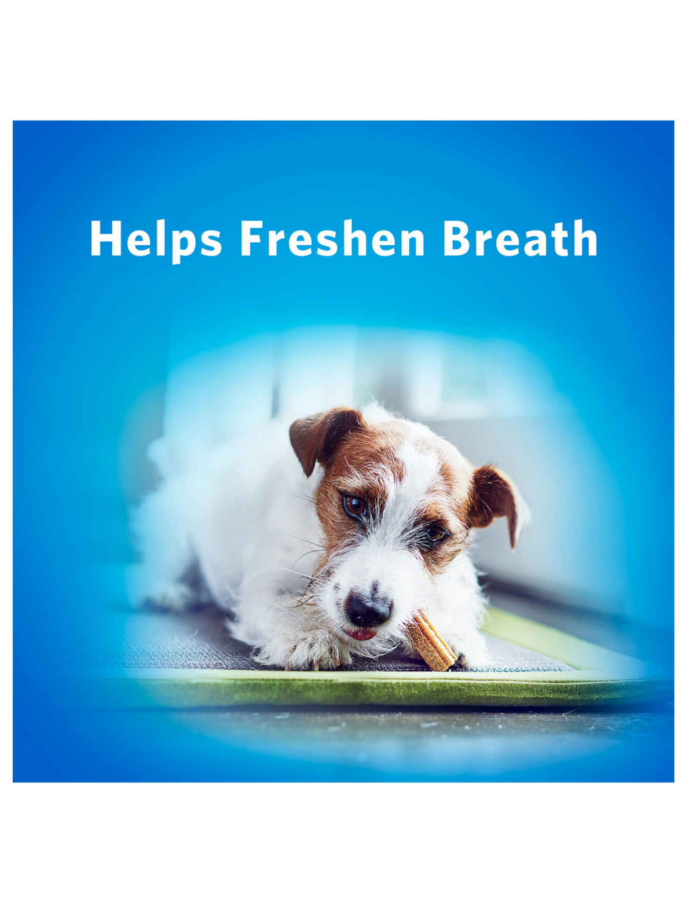 Dentalife Daily Oral Care Mini Dog Treats 58g - Freshens Breath & Reduces Plaque for Small Dogs - Perfect for Training & Dental Health
