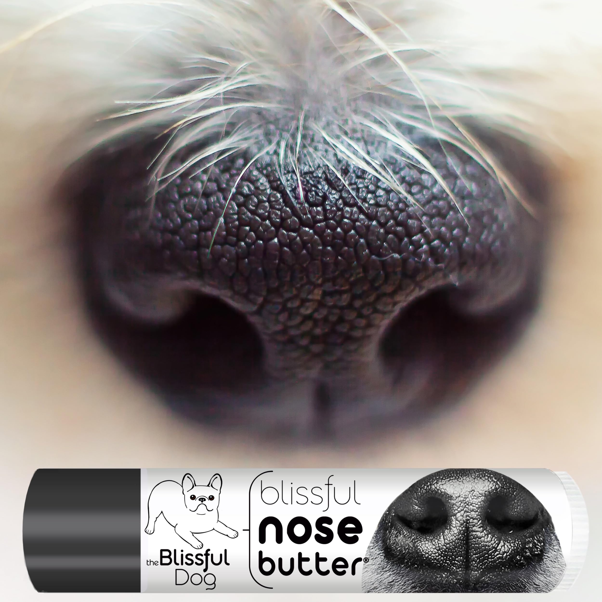 The Blissful Dog Unscented Nose Butter for Dry & Cracked Dog Noses | All-Natural Paw Balm for Healing & Protection | Perfect for Outdoor Adventures & Winter Care