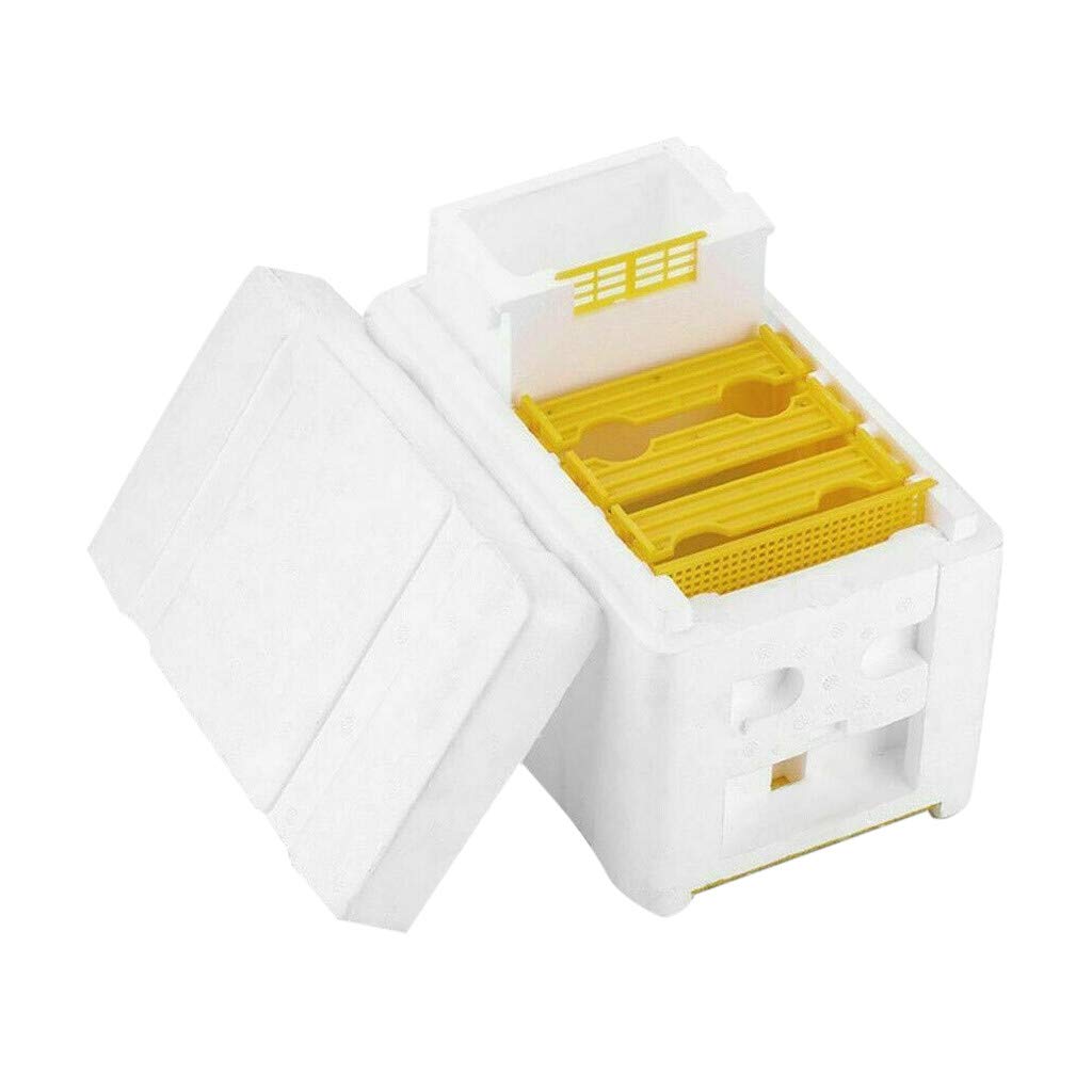 Pollination Beekeeping Supplies - Bee Box, Beehive, Smoker & Hive Tool (White, One Size) for Honey Production & Garden Pollination