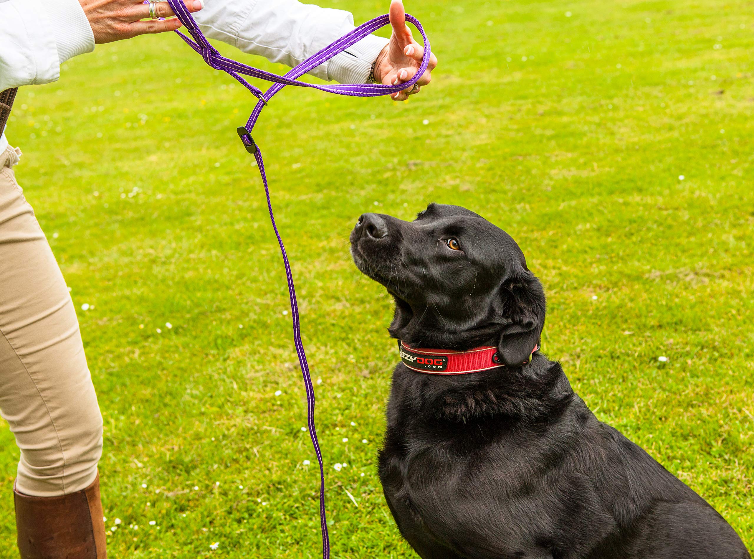 Dog Collar Clip for Coffee & Cream - Secure & Stylish Pet Accessory for Walks, Hikes & Outdoor Adventures