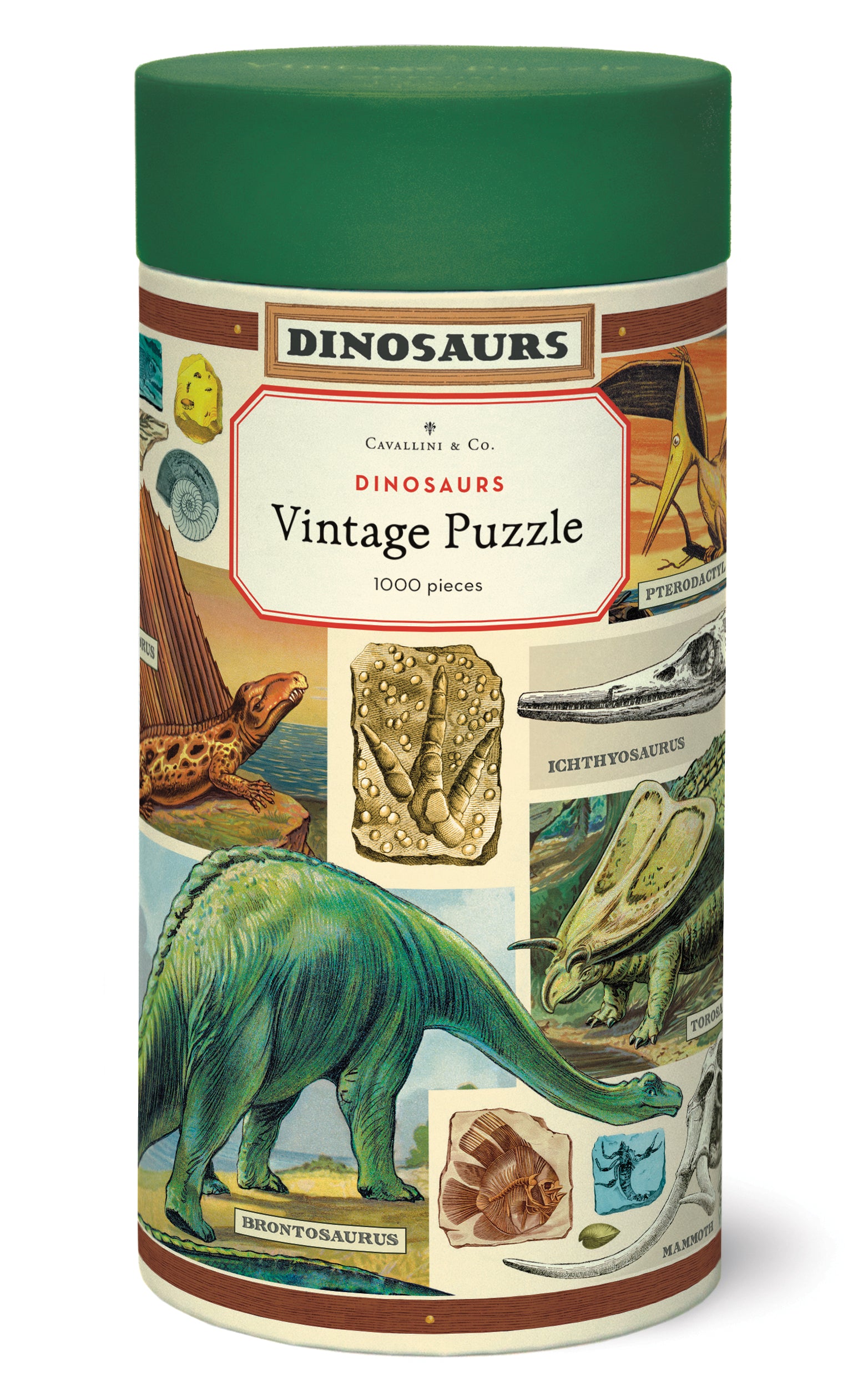 Dinosaurs Puzzle for Kids - 100 Piece Jigsaw Puzzle with Dinosaur Theme - Fun Educational Toy for Children's Learning & Playtime