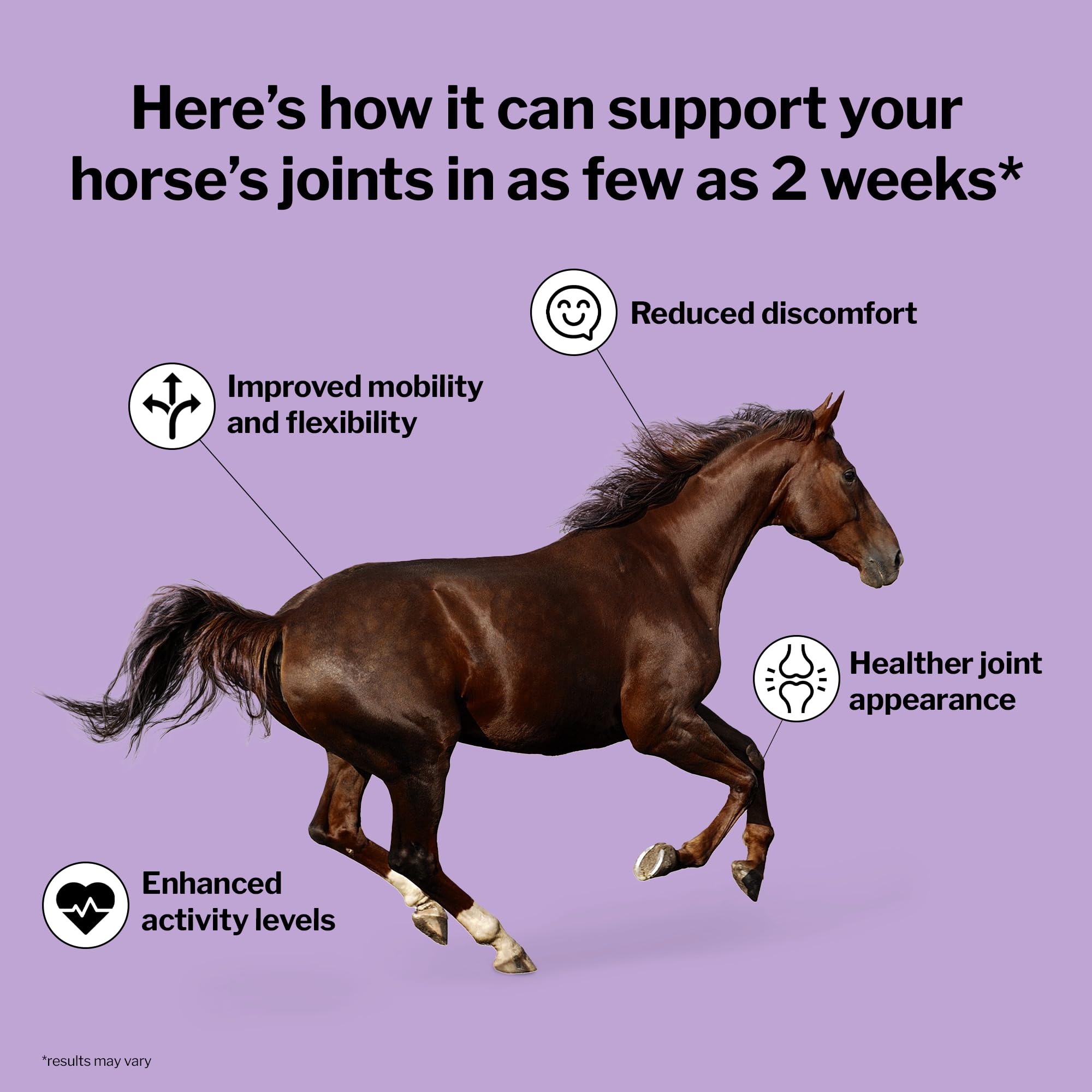 Formula 707 Joint 6-in-1 Equine Supplement 10 lb Bag - Supports Joint Health & Mobility in Horses with Glucosamine, Chondroitin, MSM, Collagen & Green-Lipped Mussel - Ideal for Performance Horses, Senior Horses & Post-Training Recovery