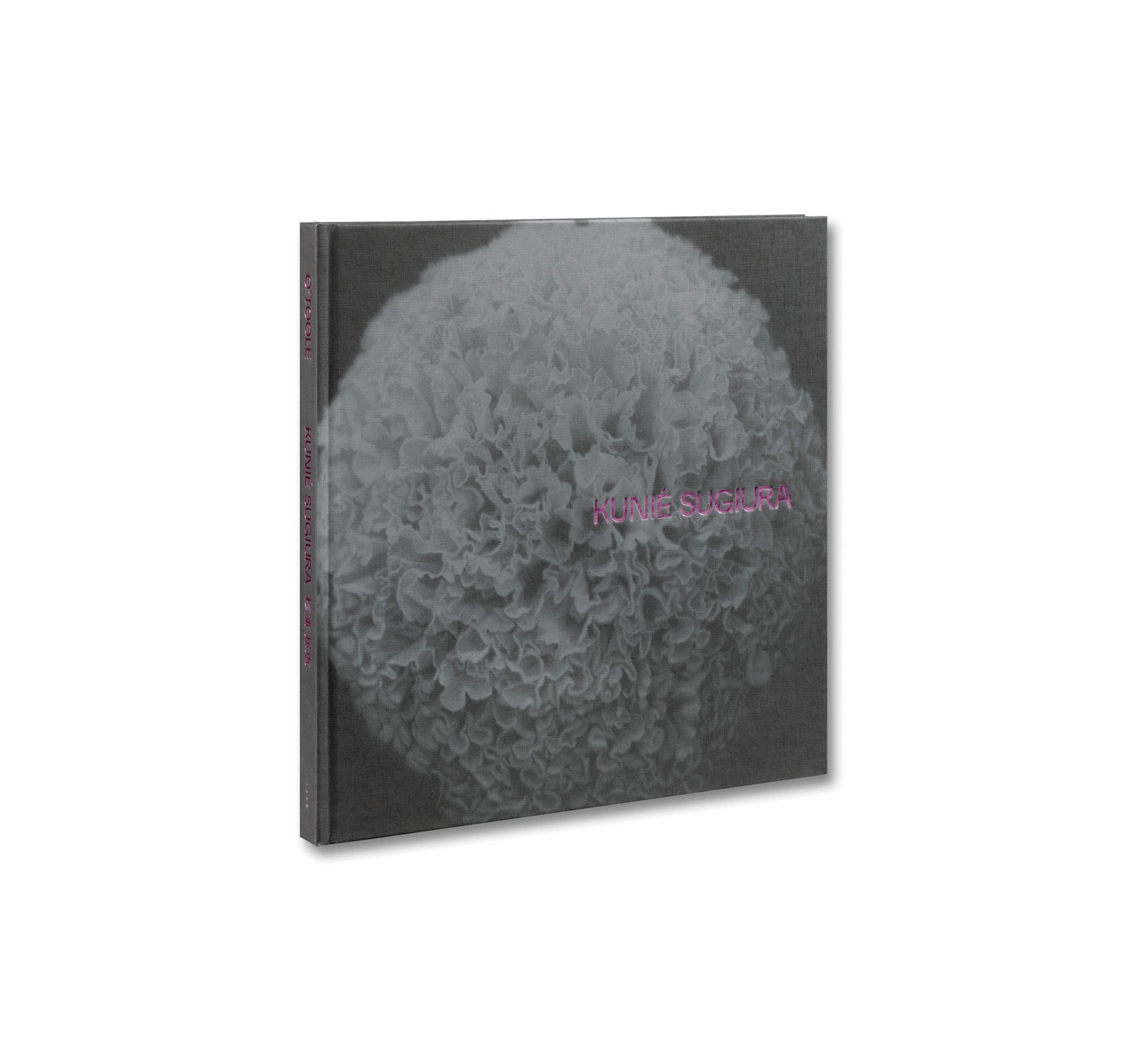 KUNIÉ SUGIURA by Kunié Sugiura - Signed Photography Book - Perfect for Art Collectors & Photography Enthusiasts