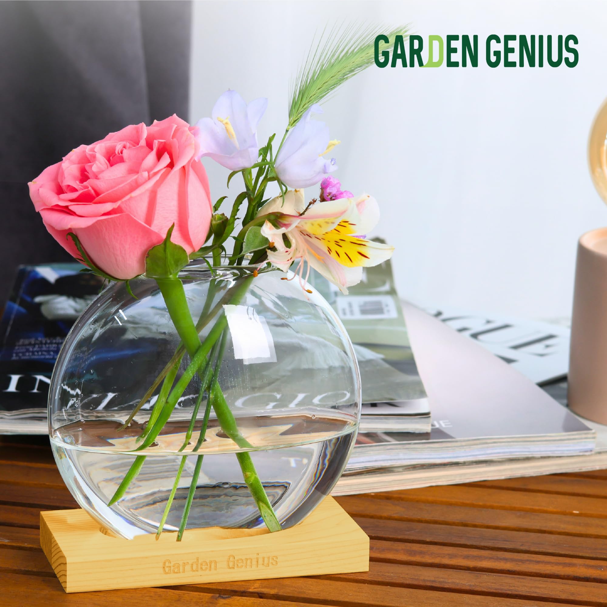 Propagation Station Plant Terrarium with Wooden Base – Single Glass Vase for Hydroponic Plants & Flowers | Perfect for Home, Office, Desk & Shelf Decor | Ideal for Plant Lovers, Succulents, Herbs & Indoor Gardening | Great Gift for Housewarming & Birthday
