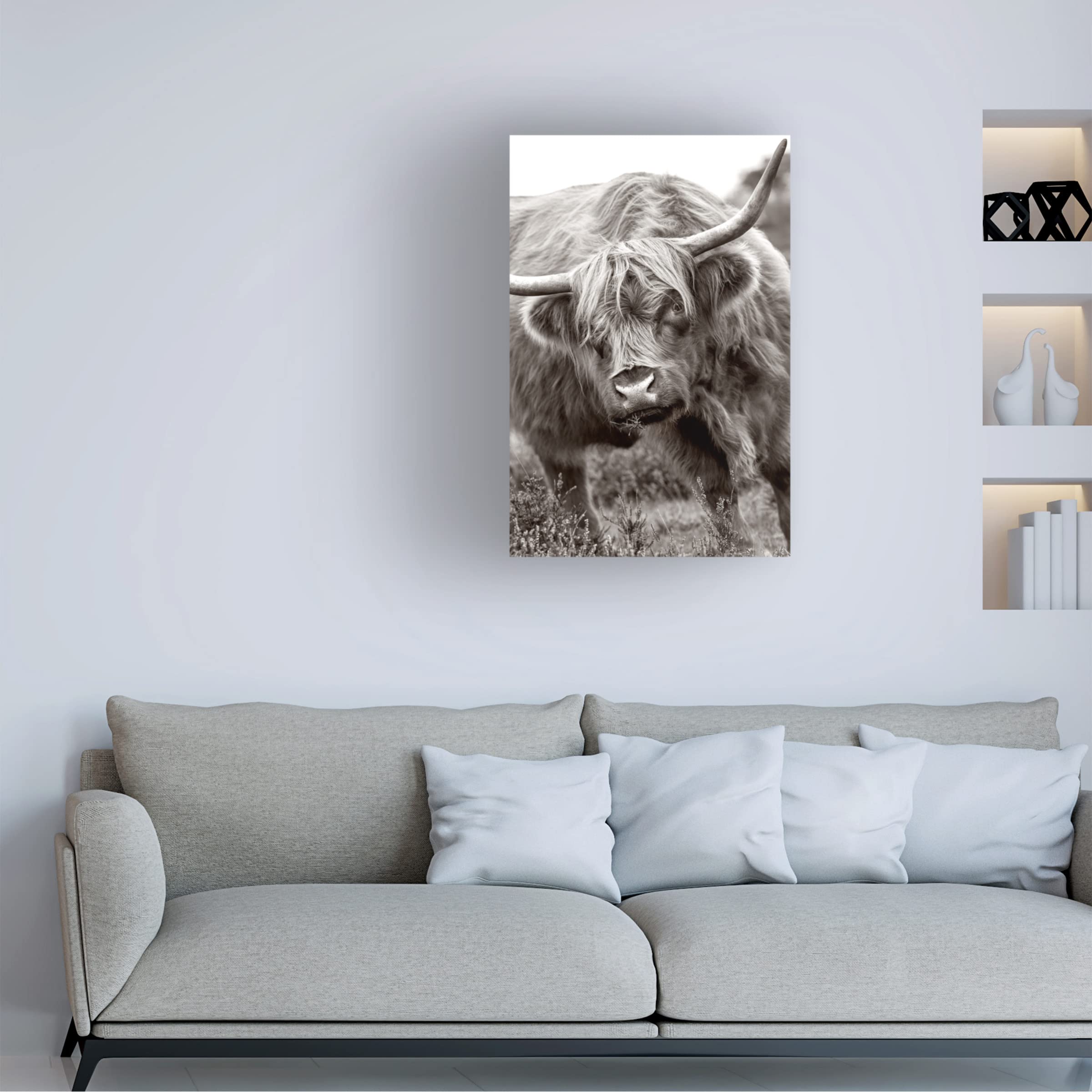 Trademark Fine Art 'The Bull' Canvas Wall Art by Jacky Parker - Modern Animal Painting for Living Room, Office & Home Decor