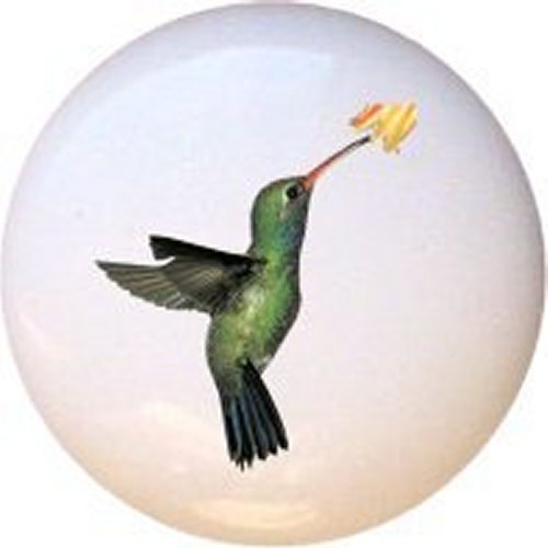 Vibrant Broad-Billed Hummingbird Ceramic Drawer Pulls - Handcrafted Cabinet Knobs for Dressers & Furniture (Set of 5) - Perfect for Boho Home Decor, Kitchen Cabinets & Bathroom Vanities