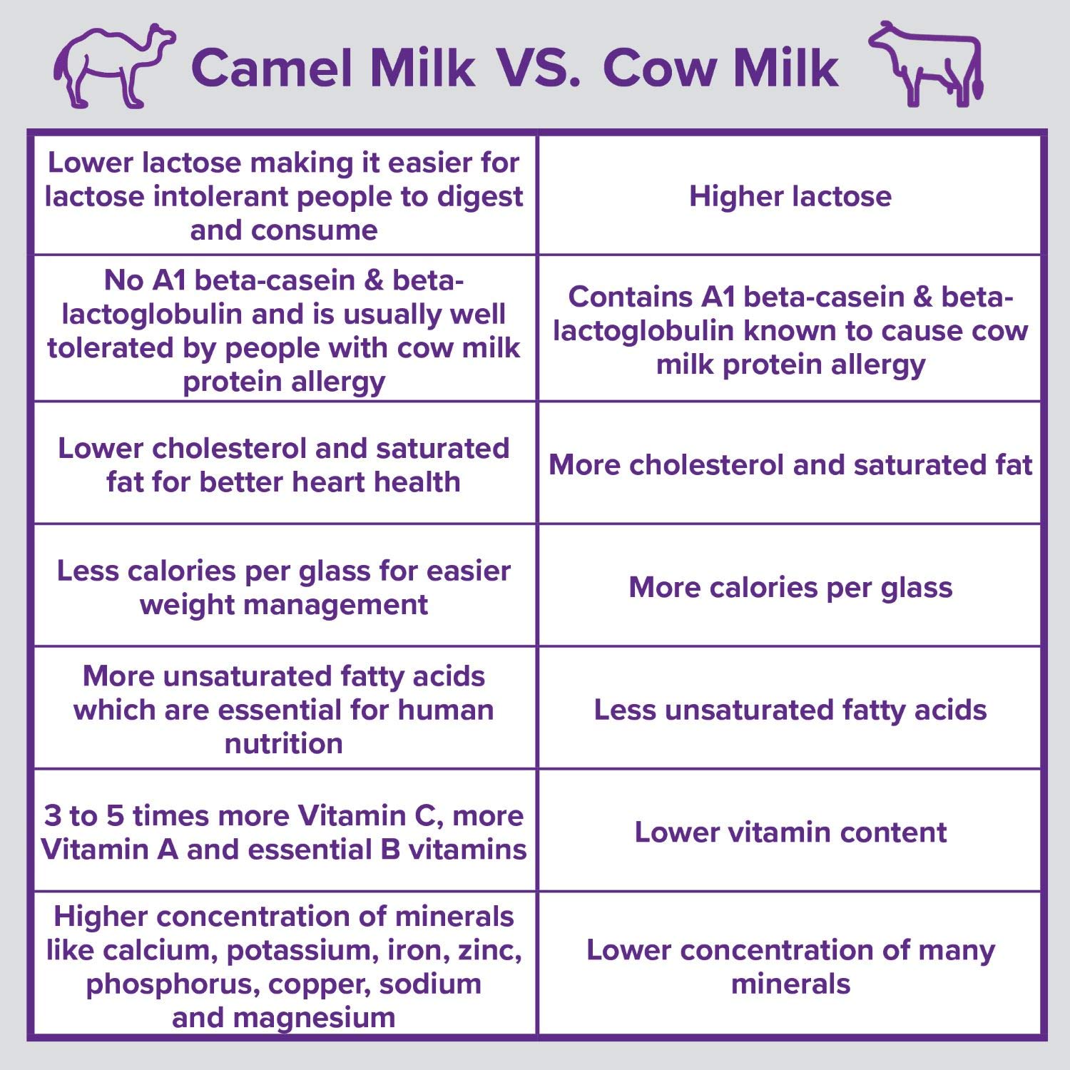 Premium Camel Milk Powder - Camelicious 480g (24x20g Packets) | Non-GMO, Gluten Free, Low Lactose | Flash Pasteurized for Longer Shelf Life | Ideal for Coffee, Smoothies & Baking | Healthy Milk Alternative