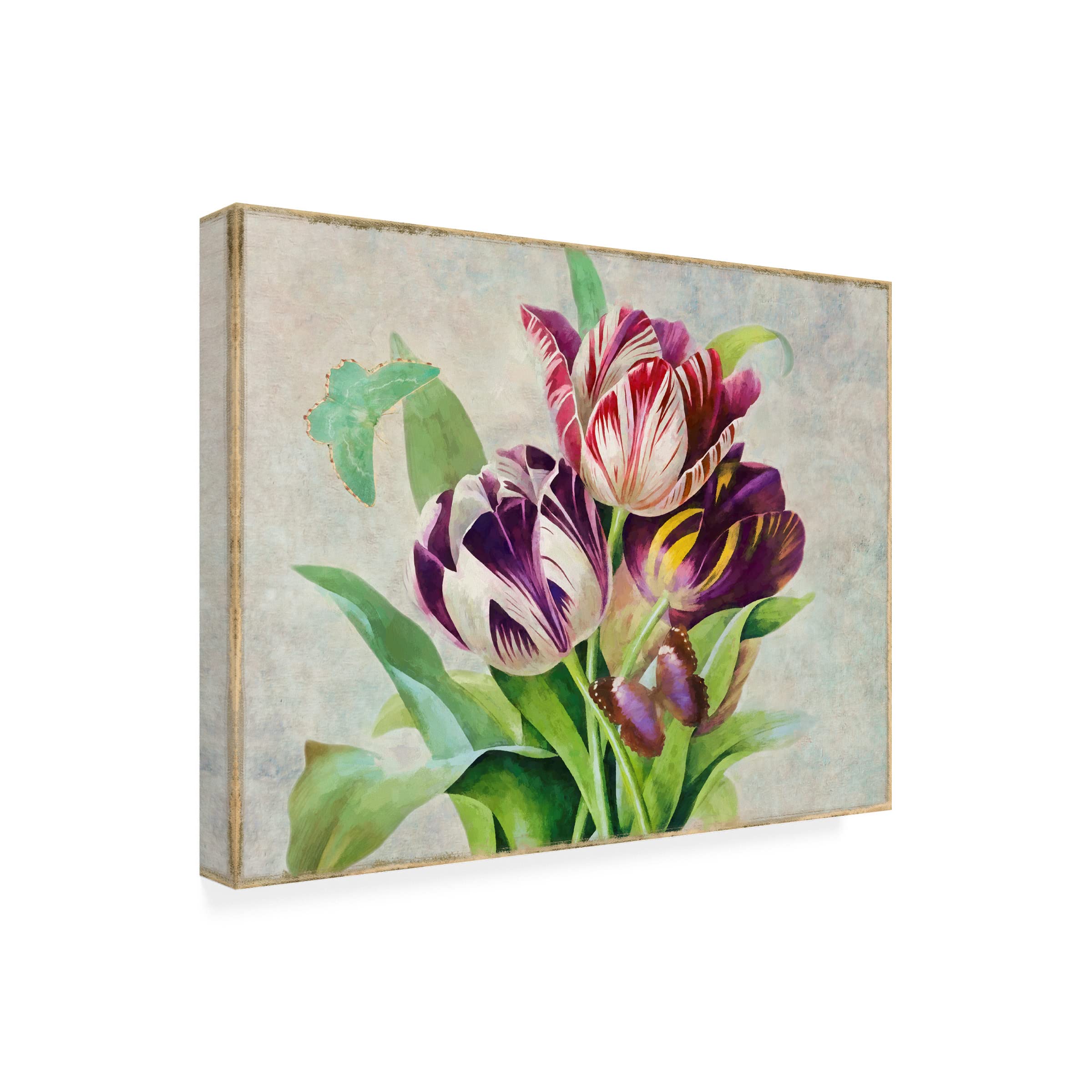 Trademark Fine Art 'Bouquet Tulips I' Floral Canvas Wall Art by Cora Niele - Perfect for Living Room, Bedroom & Office Decor
