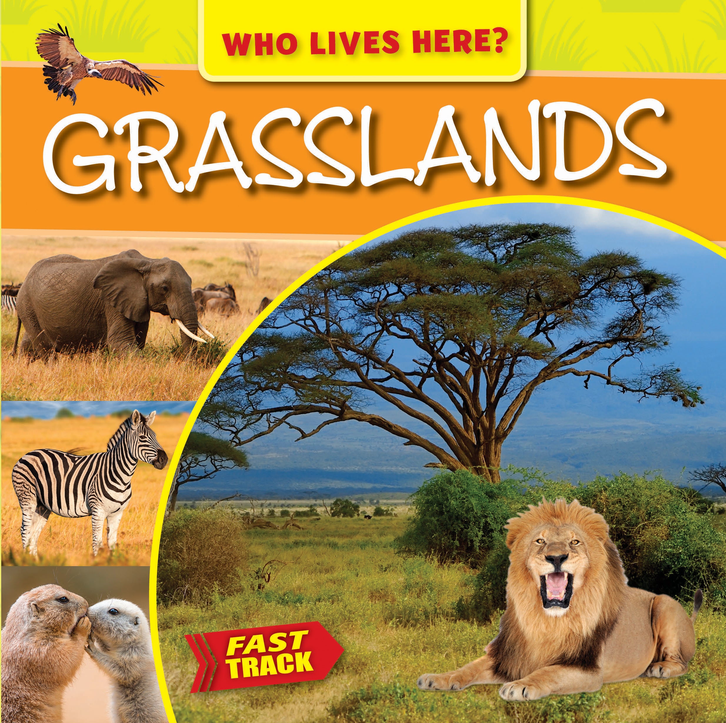 Grasslands Who Lives Here - Interactive Wildlife Book for Kids | Explore Animals & Habitats | Perfect for Classroom Learning & Bedtime Stories