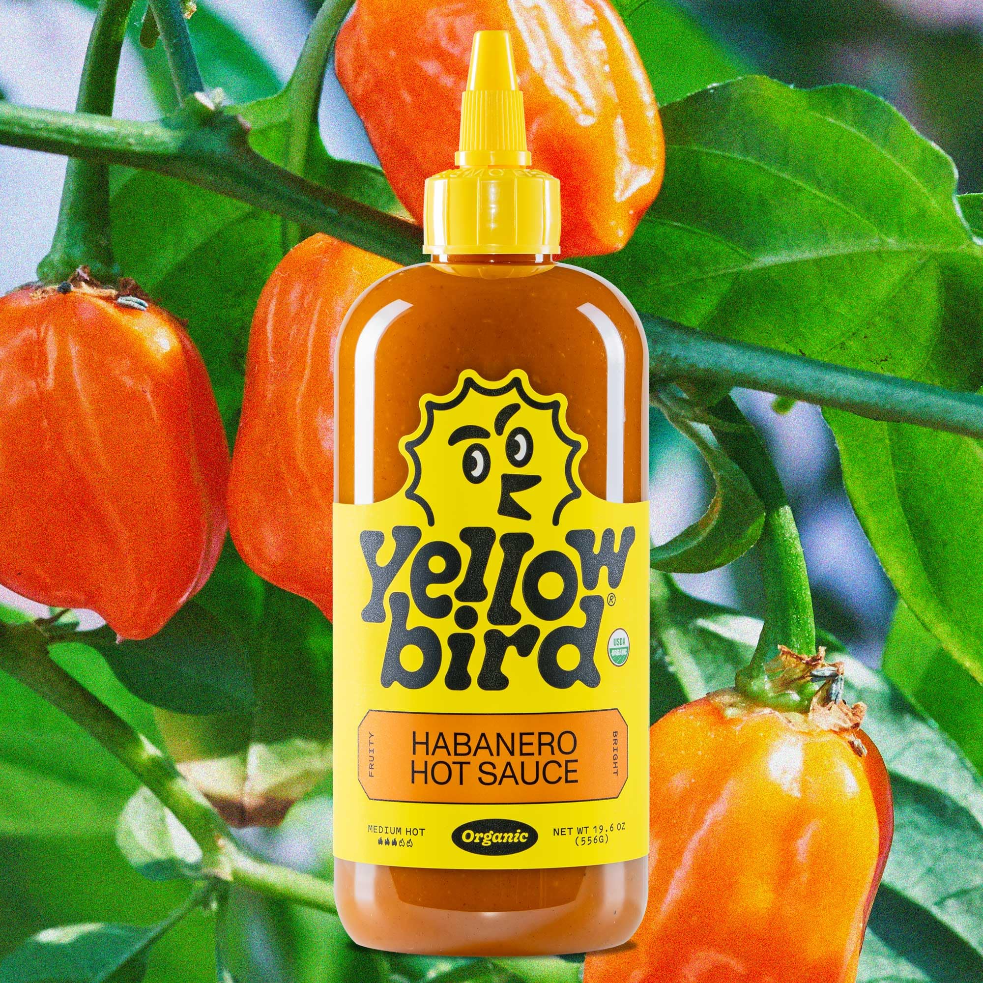 Yellowbird Organic Habanero Hot Sauce - Medium Heat, 19.6 oz Tabletop Size (Pack of 2) | Perfect for Tacos, Wings, Burgers & Everyday Meals