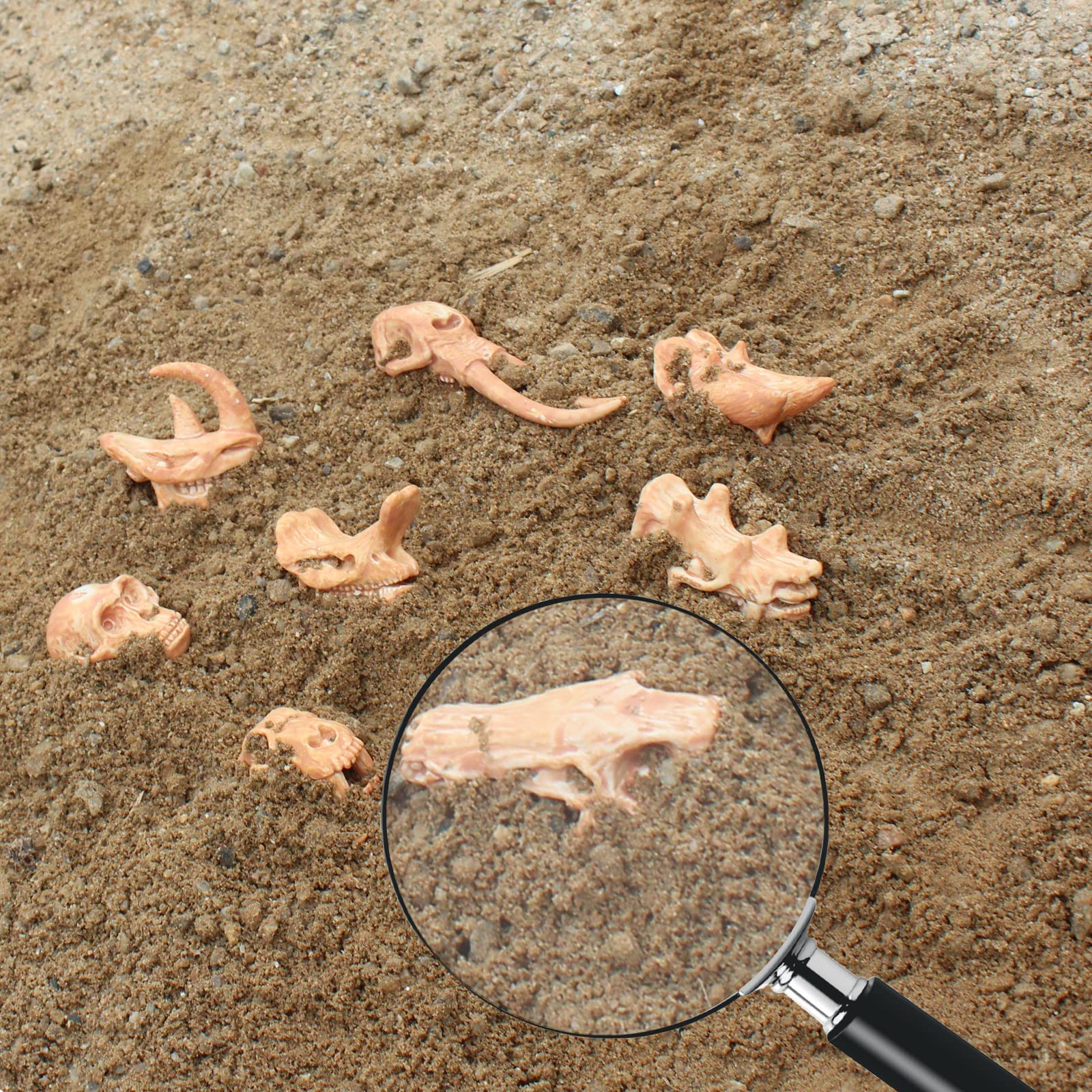 LC JoyCre Realistic Mini Prehistoric Animal Bones Set - Dinosaur Fossil Dig Kit for Kids, STEM Educational Sandbox Toys for Paleontology Learning | Perfect for Birthday Gifts, Classroom Activities & Science Projects