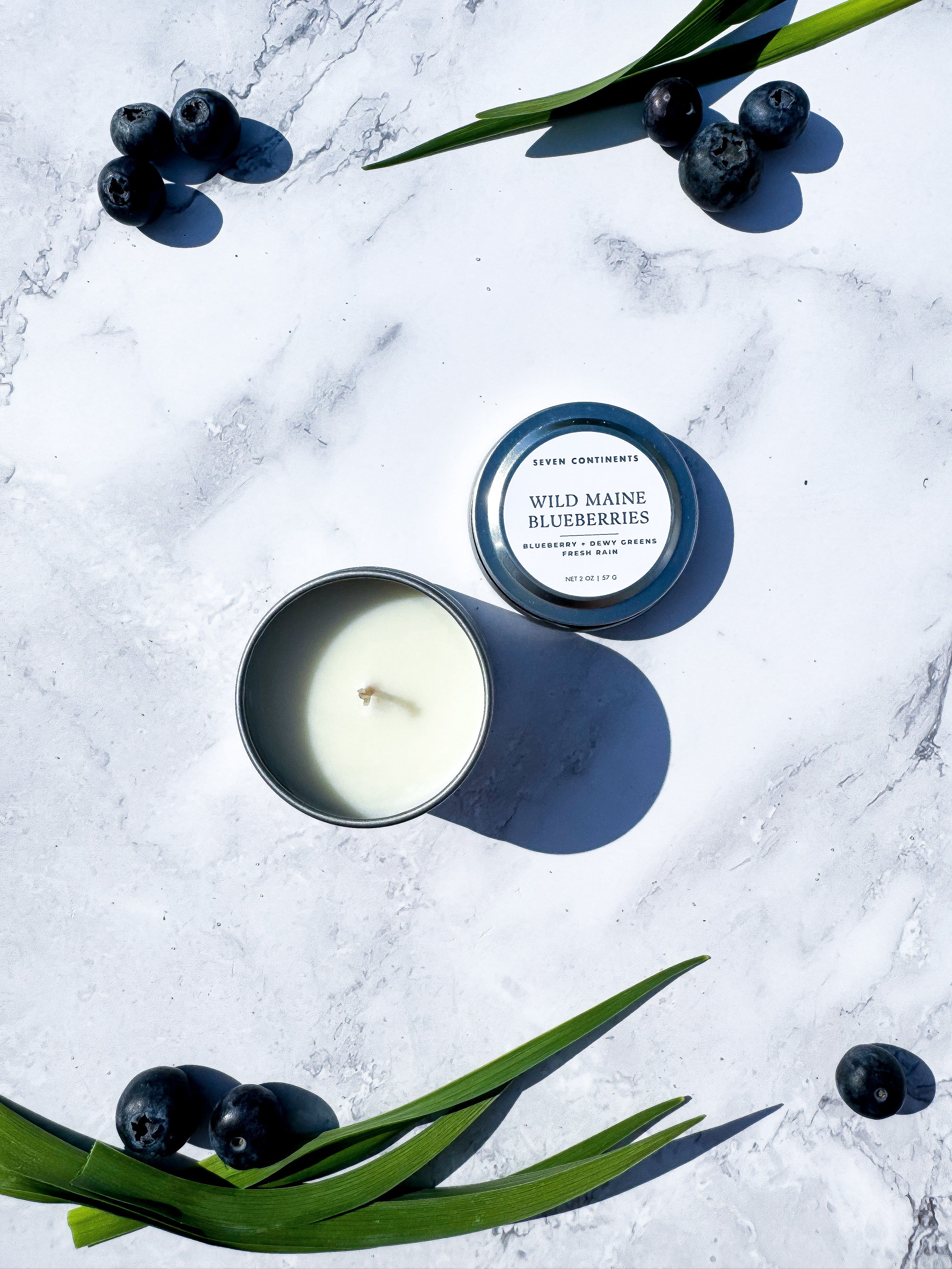 Organic Wild Maine Blueberries Scented Soy Wax Mini Candle - Handmade, Eco-Friendly, Long-Lasting Fragrance for Home, Office & Relaxation