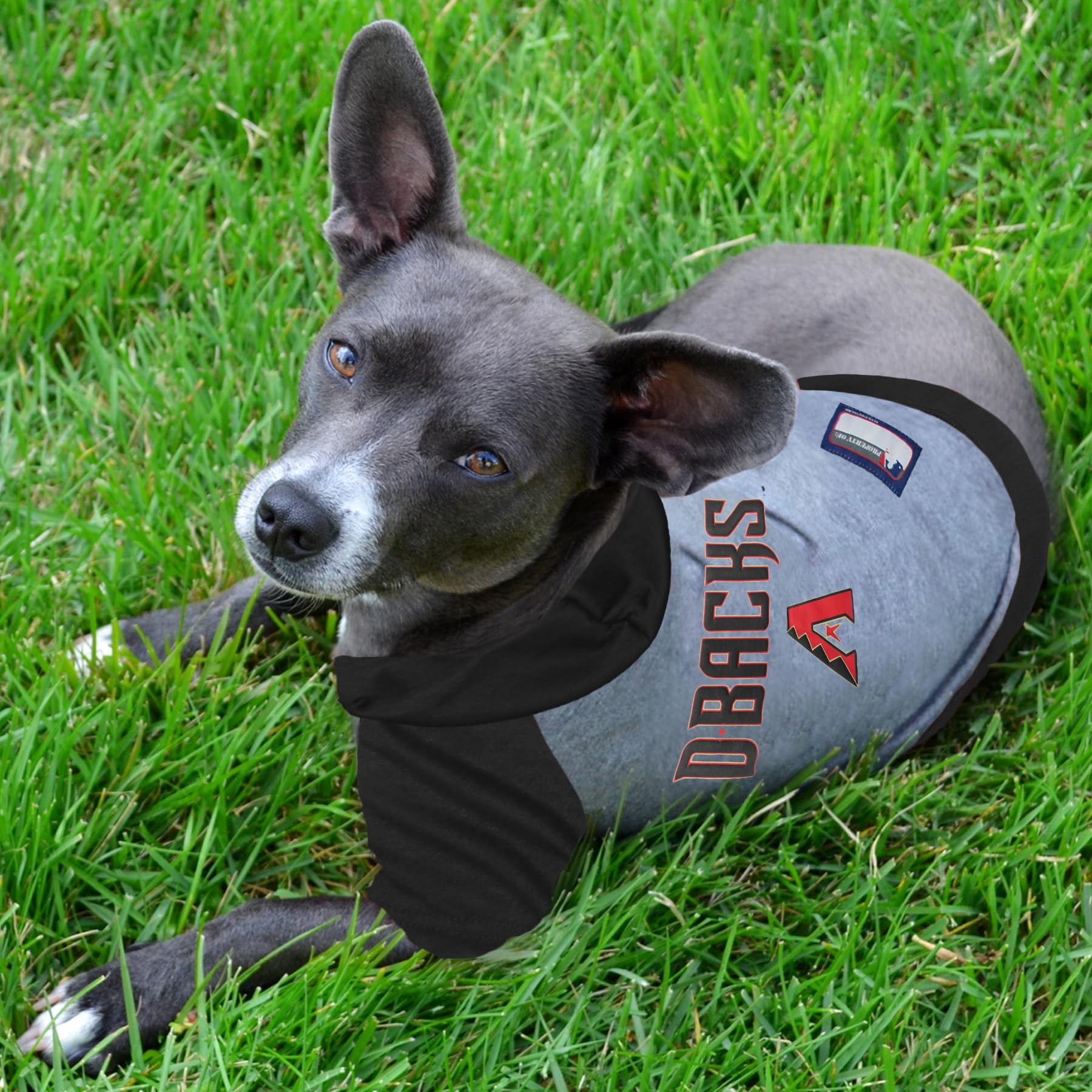 Arizona Diamondbacks MLB Hoodie for Dogs & Cats - Team Color Pet Hooded Shirt, Small - Baseball Fan Apparel for Game Day & Outdoor Adventures