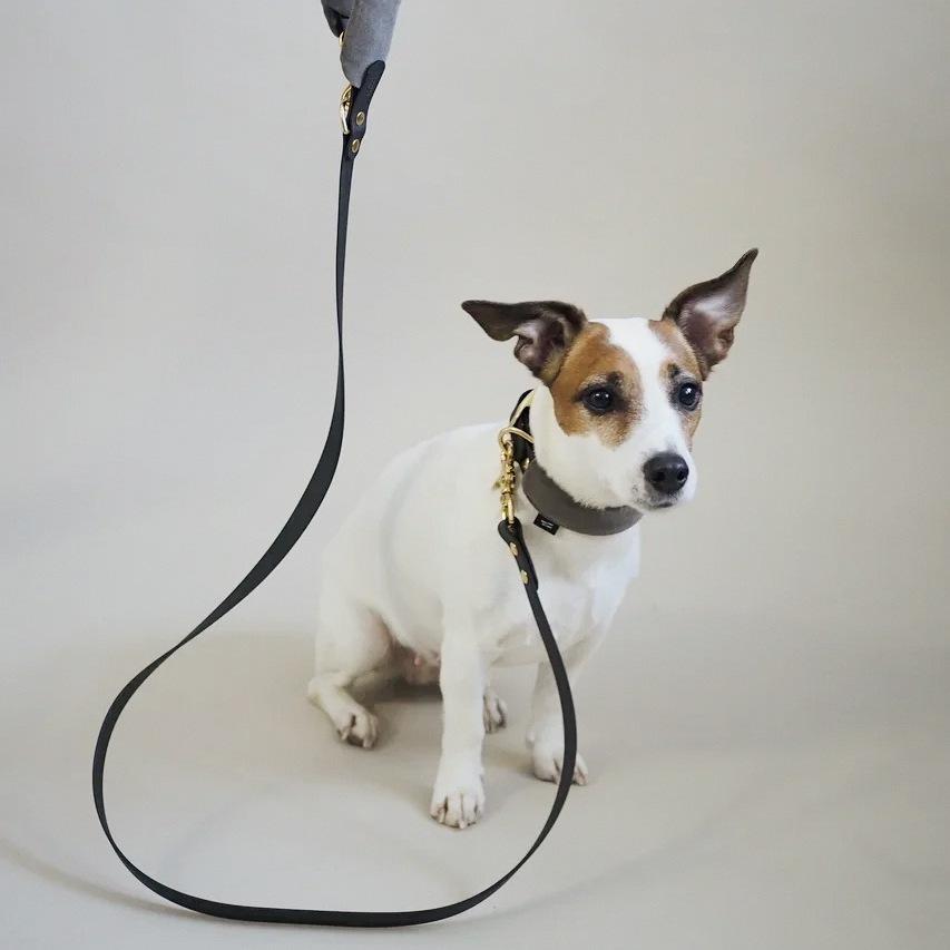 Premium Biothane Dog Collar with Pony Mascarpony Design - Durable, Waterproof & Adjustable Pet Collar for Small, Medium & Large Dogs - Perfect for Walking, Training & Outdoor Adventures