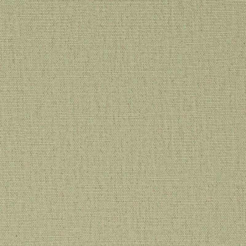 Stirling Sage Essential Oil Swatch - 100% Pure & Natural Aromatherapy Oil for Relaxation, Stress Relief & Home Fragrance - Perfect for Diffusers, Massage & DIY Skincare