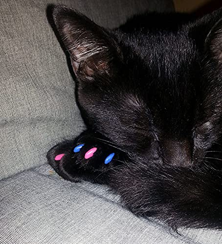 Soft Nail Caps for Cat Claws - NEON Green Medium Size | Safe & Comfortable Cat Claw Covers for Indoor Cats | Perfect for Scratching Prevention & Furniture Protection